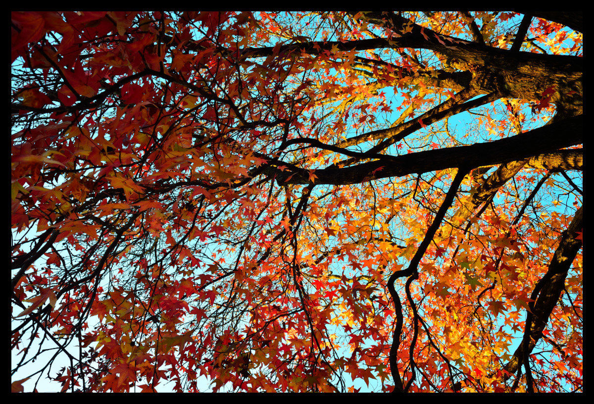 The end of autumn...