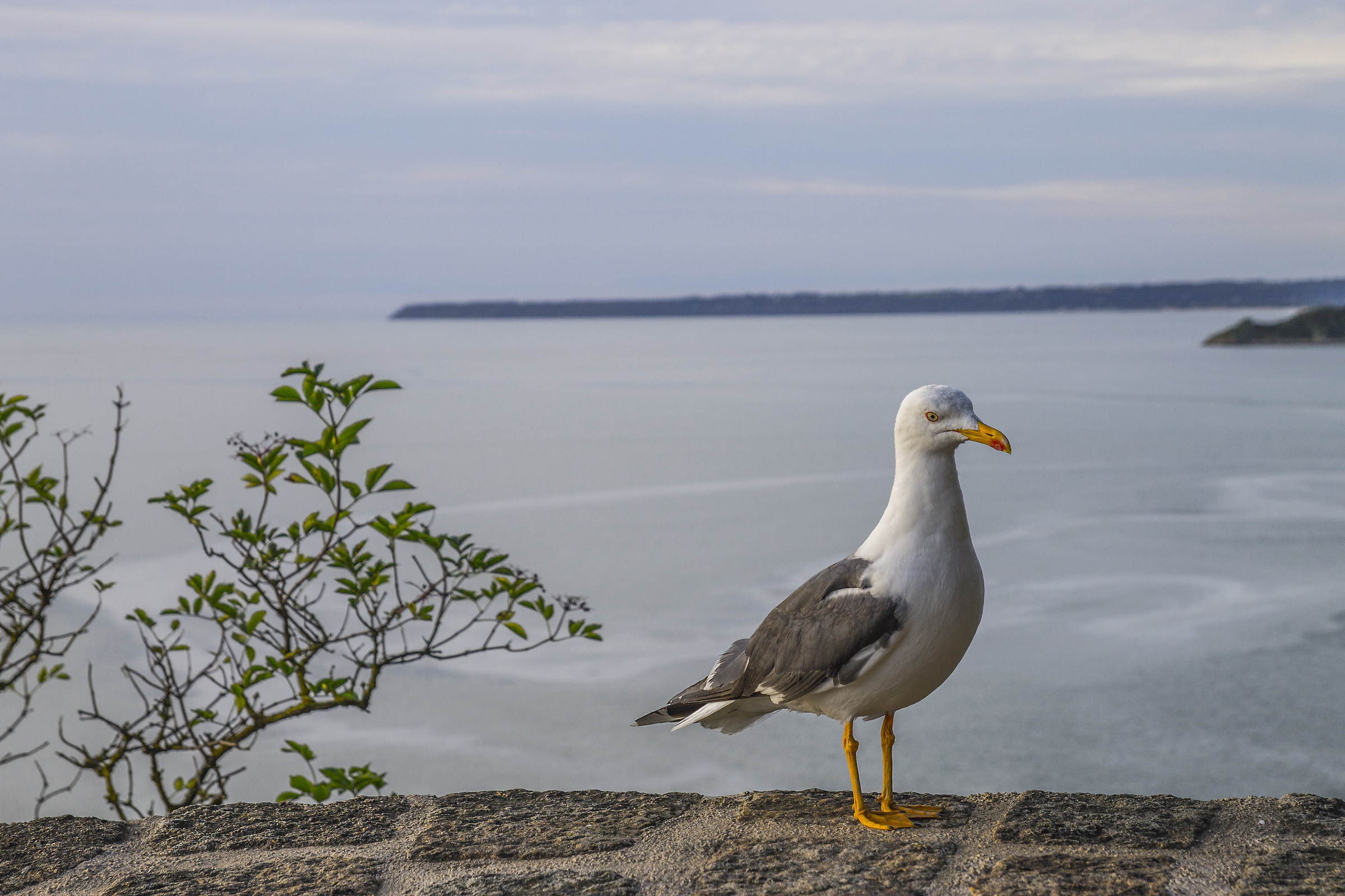 Ma tu, da me, che cosa vuoi???