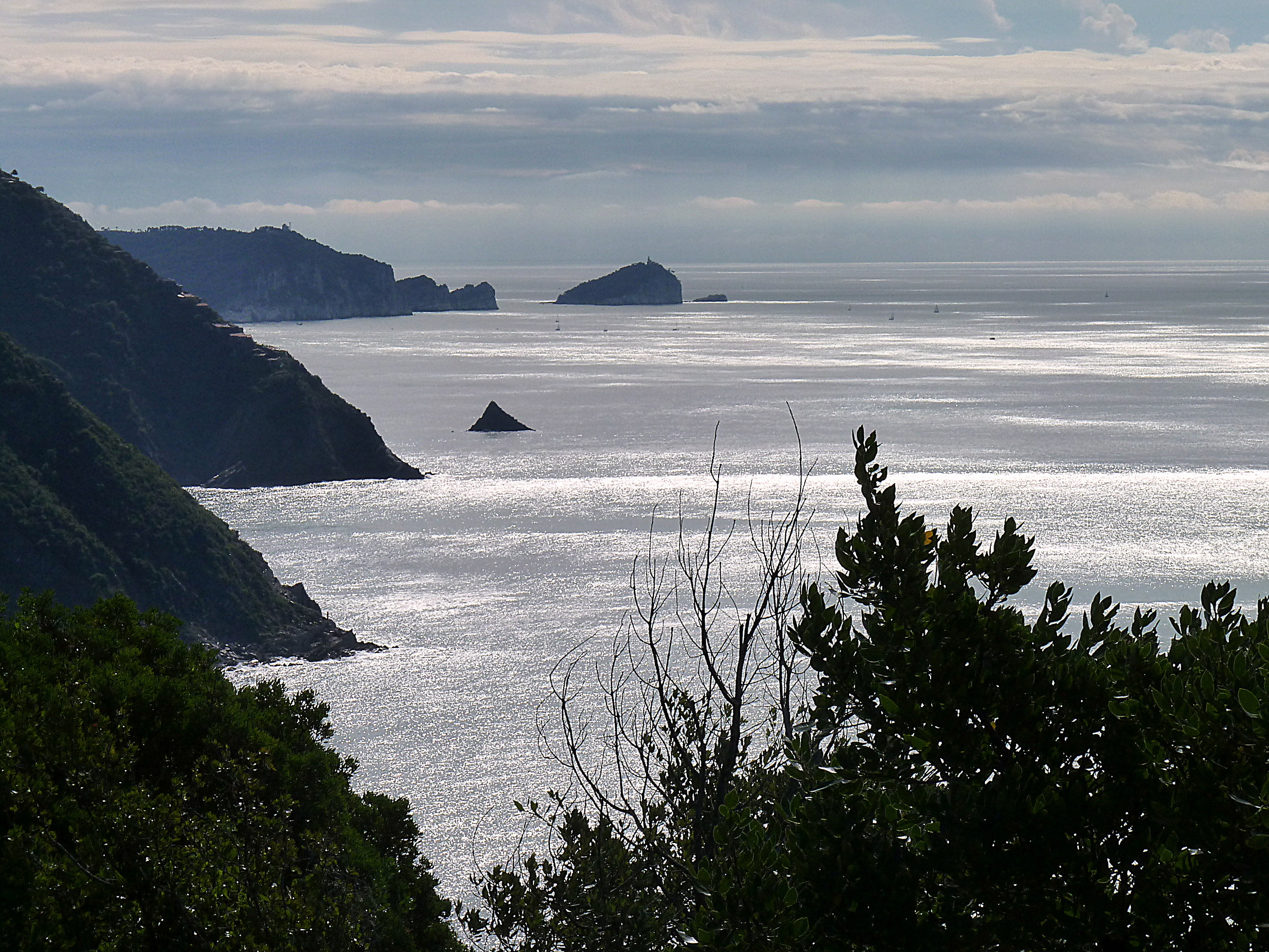 Palmaria, Tino and Tinetto