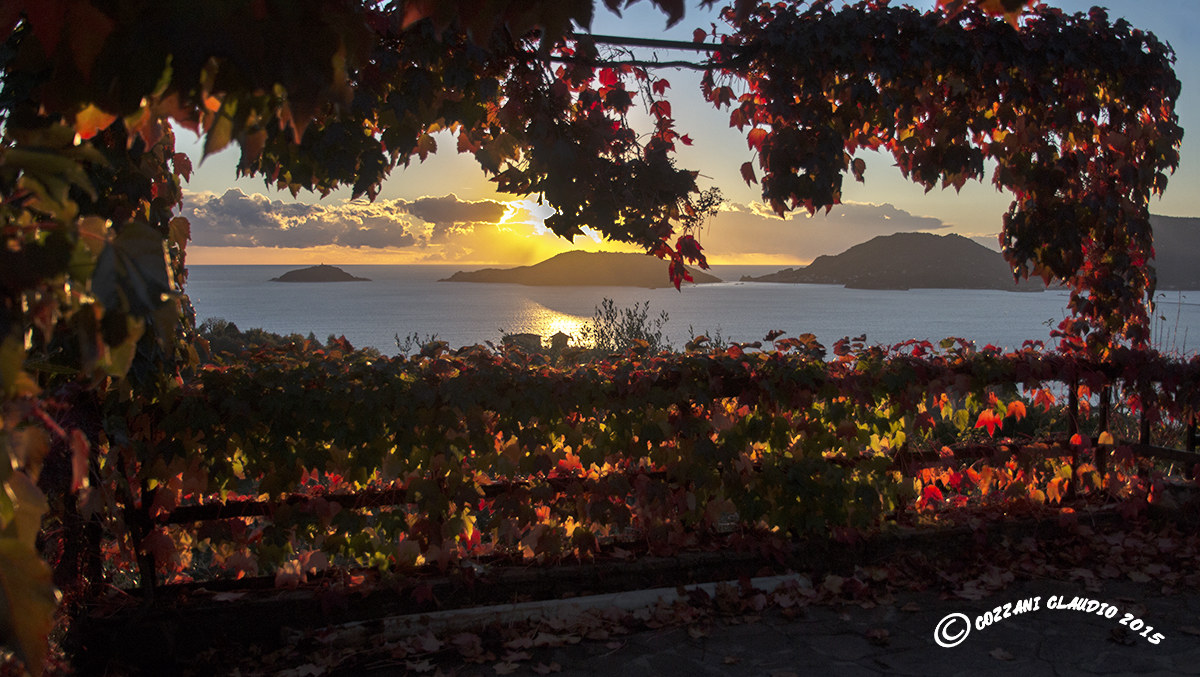 i colori dell'autunno al mare