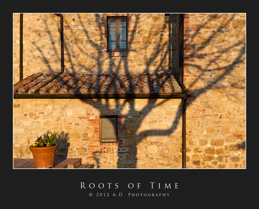 Roots of Time