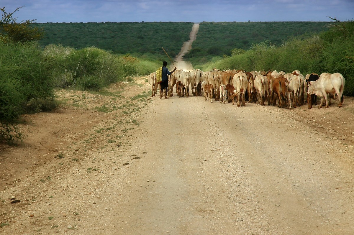 On the roads of Africa