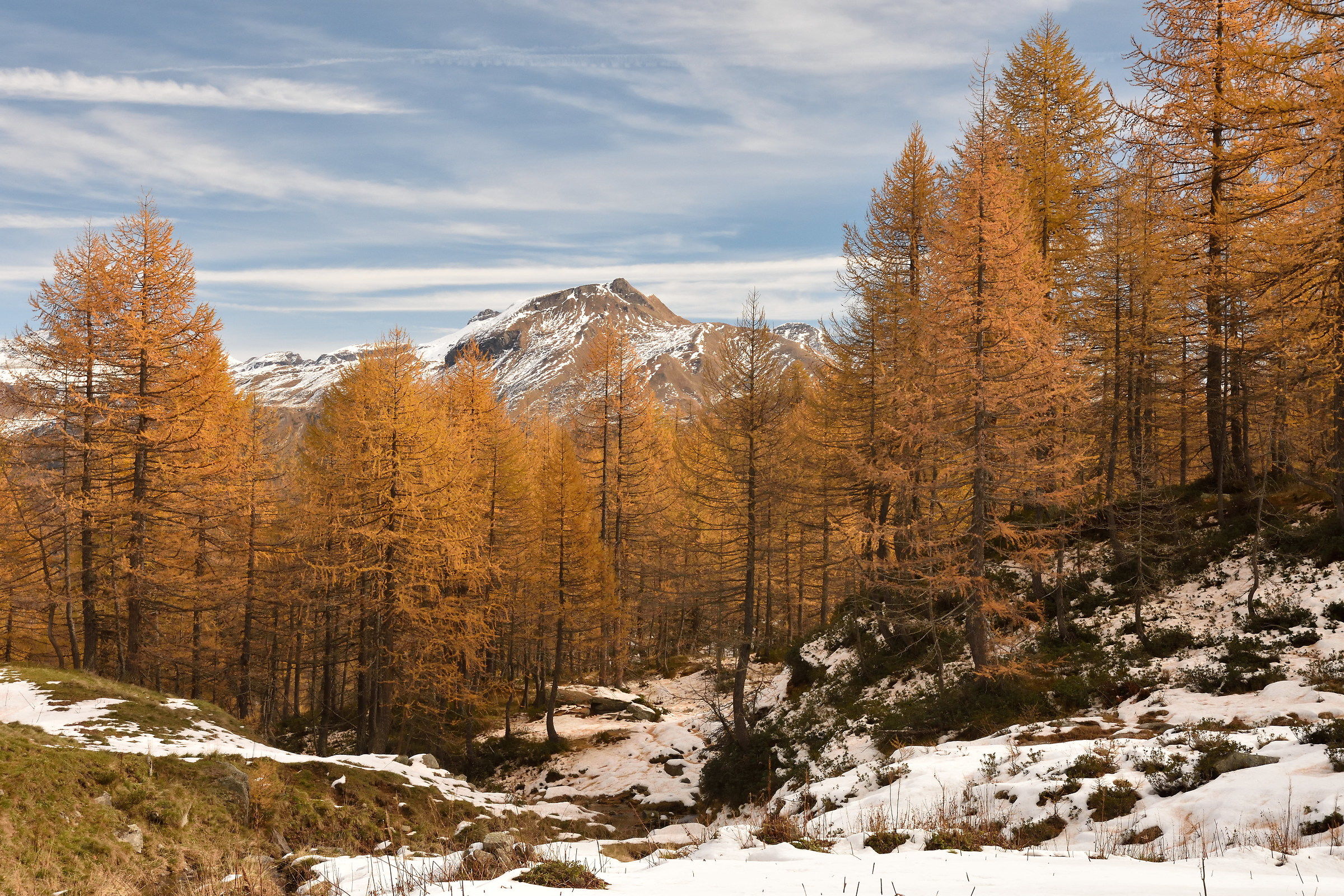 tra il lago Nero e l'alpe Misanco