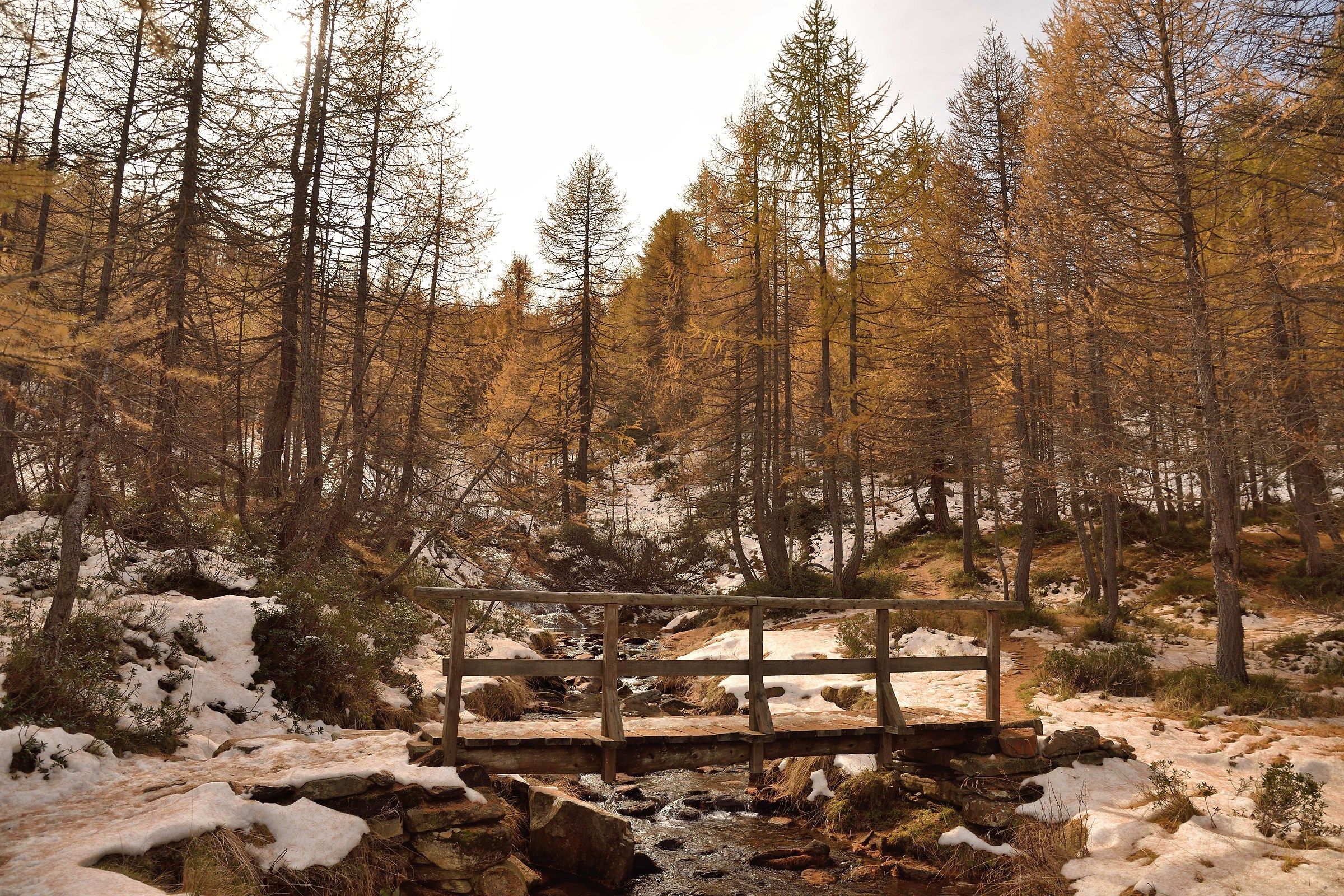 salendo all'alpe Misanco