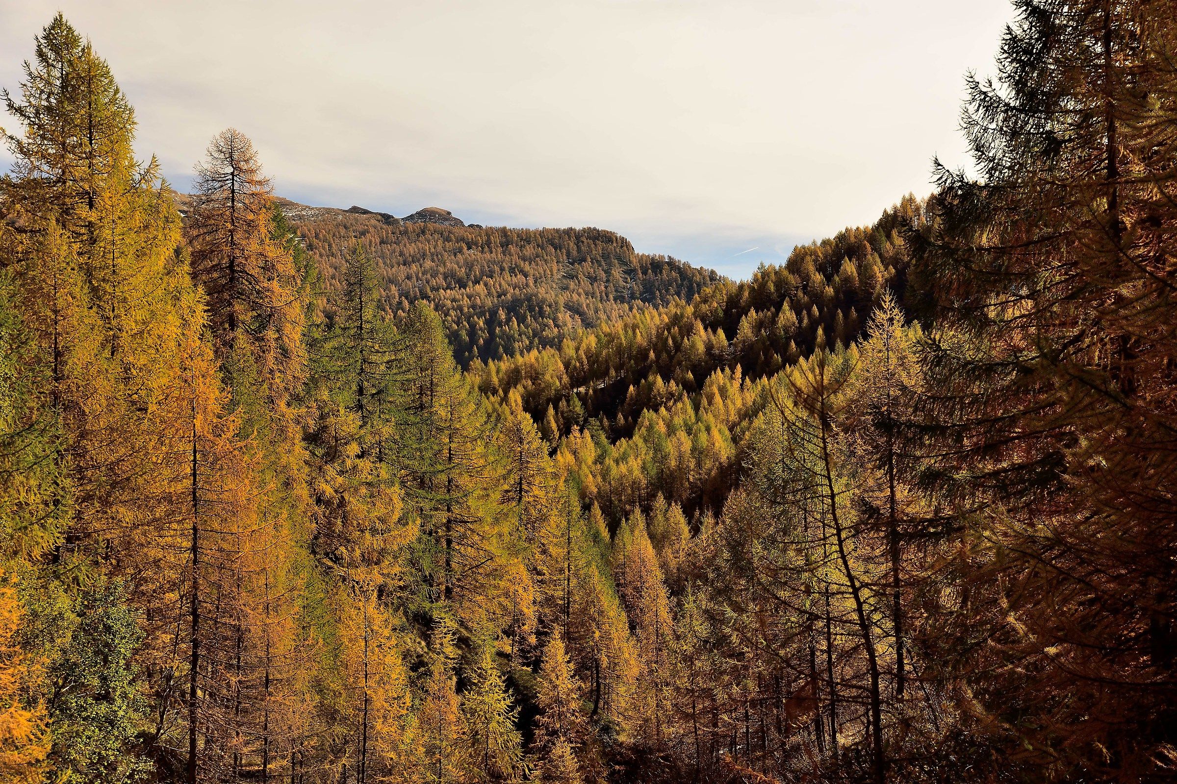 ritorno alla piana del Devero