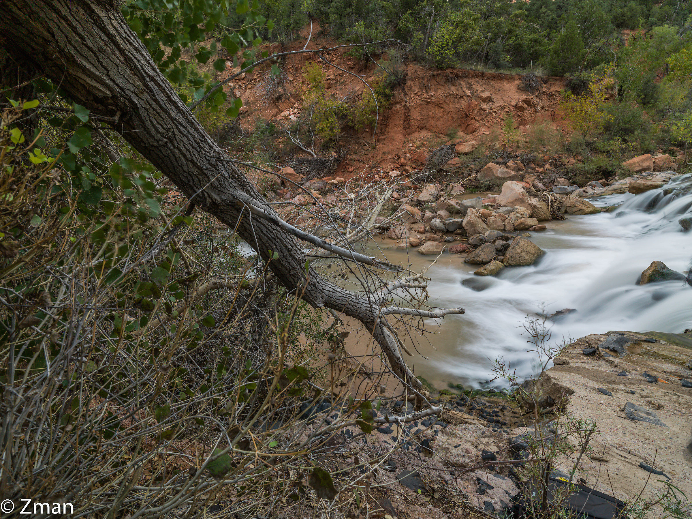 Zion National Park