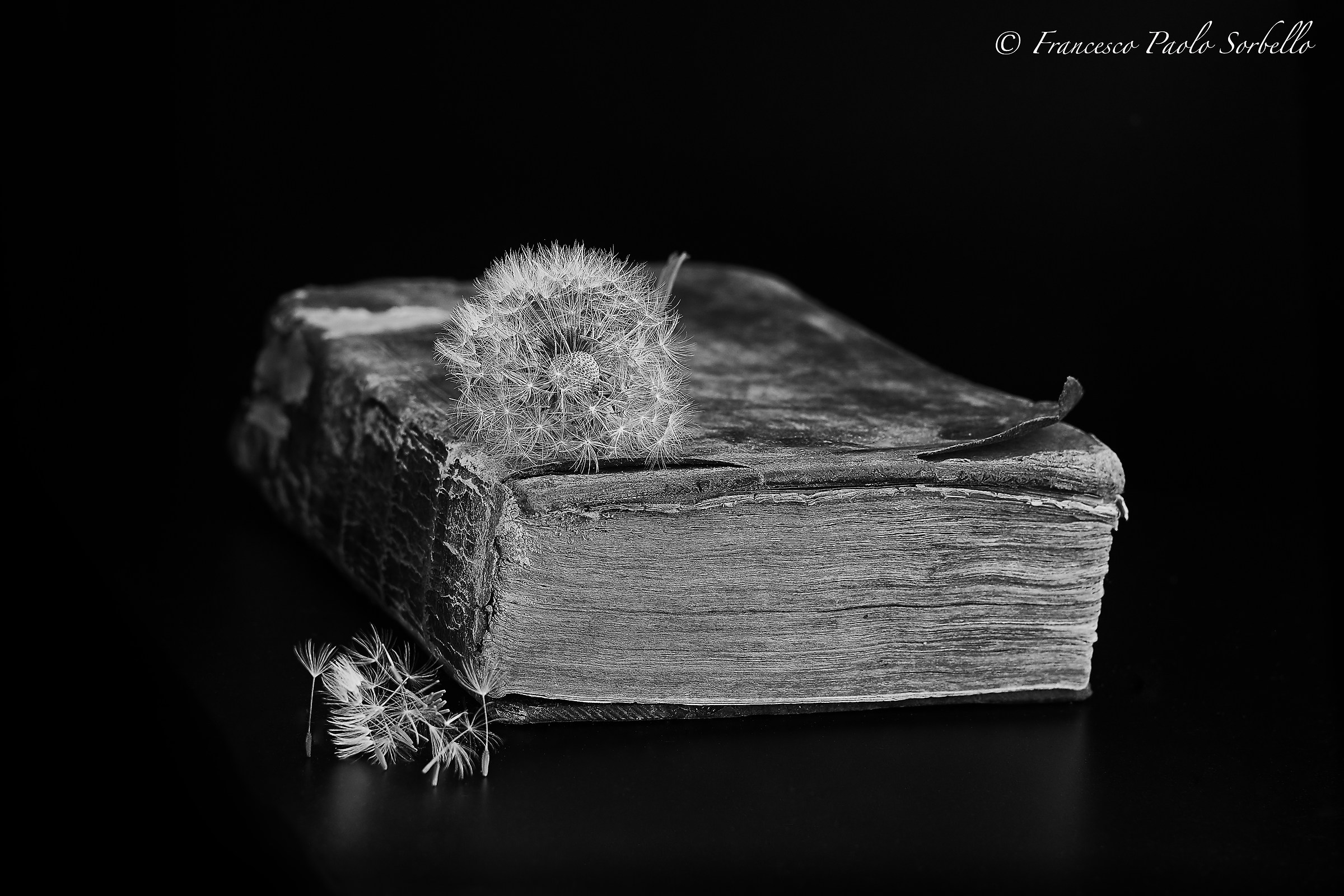 inevitability of time