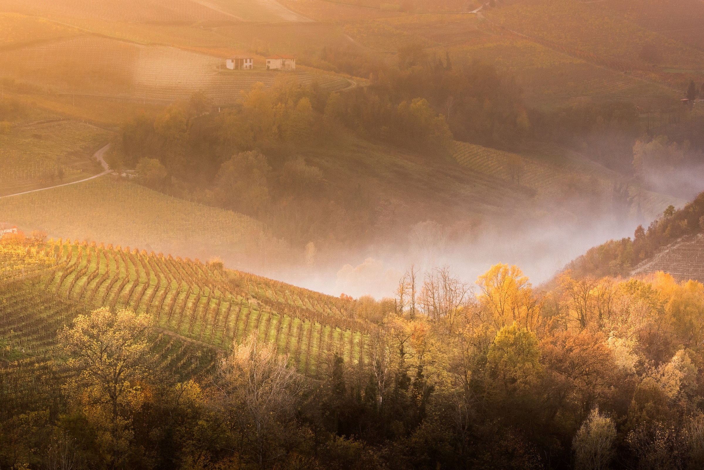 Monferrato waiting for the sunset