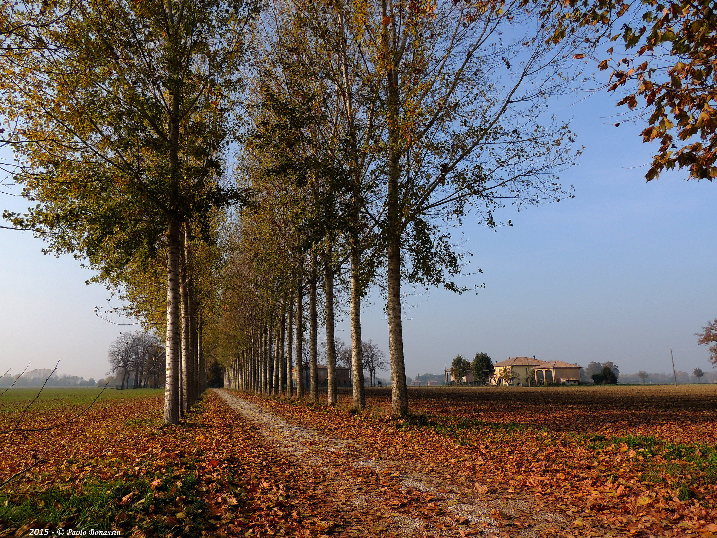 Granarolo - Villa Buckle