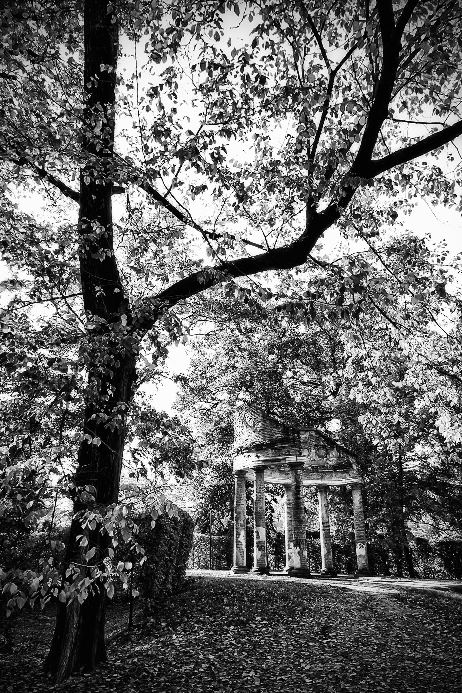 Quel che rimane.......