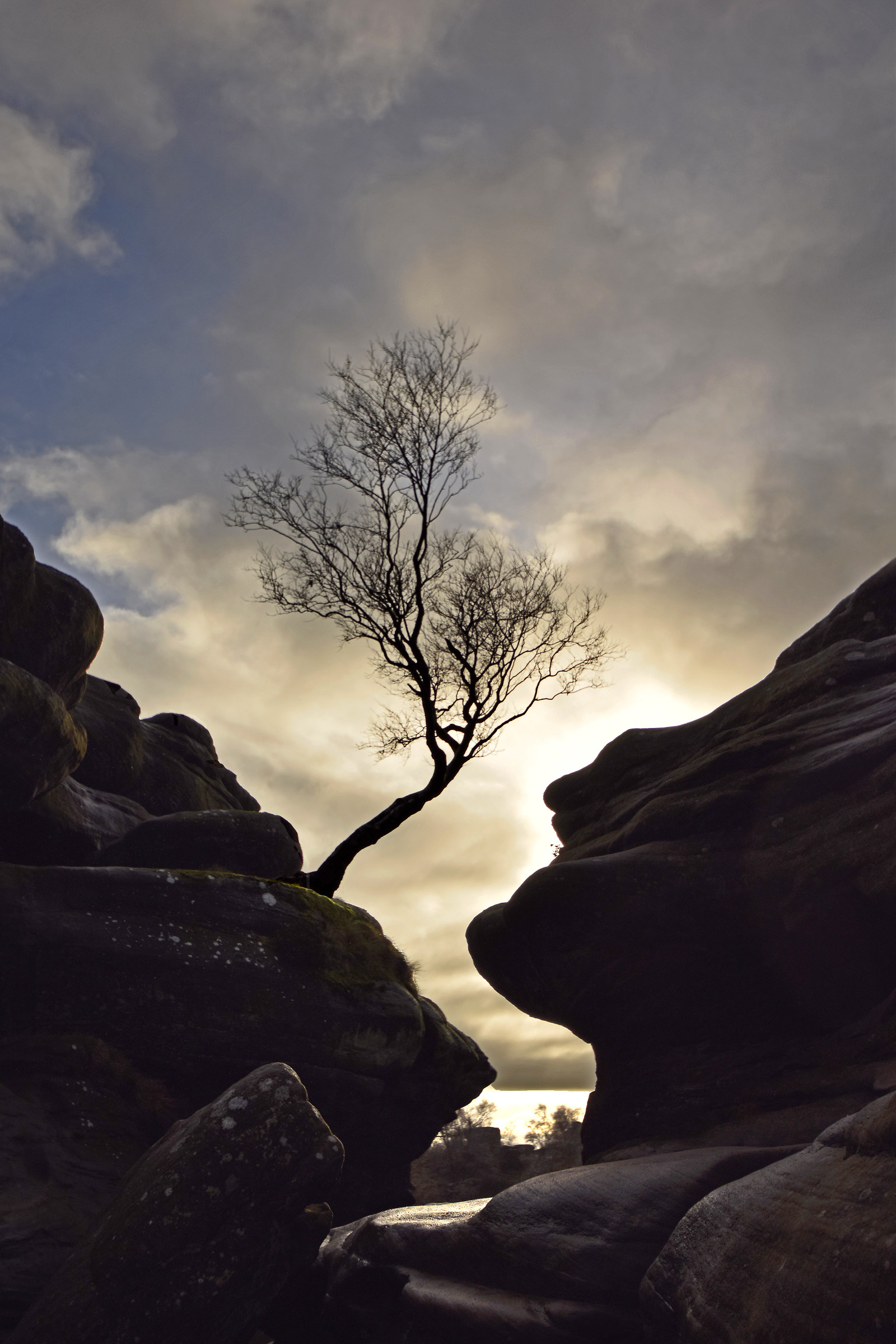 Brimham Rocks, Yorkshire Dales