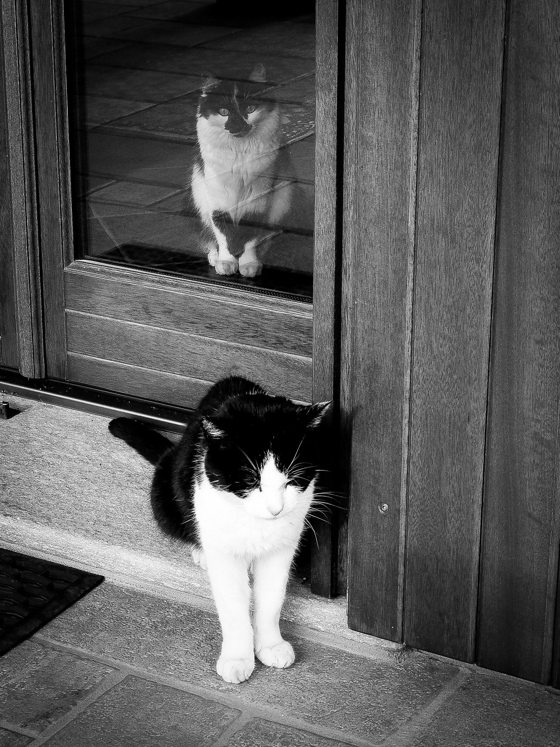 In & Out (Musetta & Mathiew)