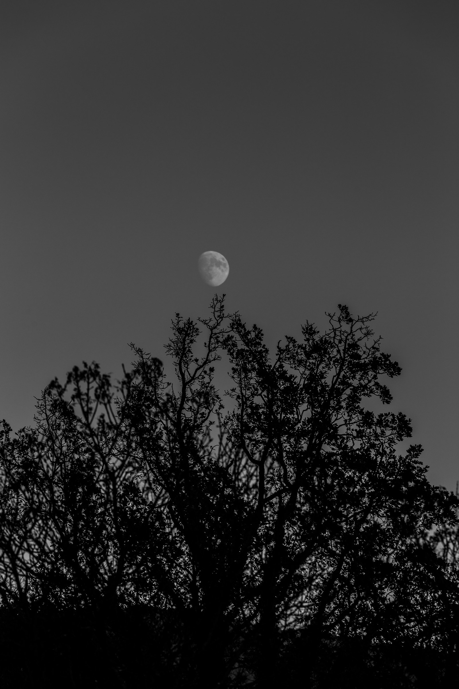 dalla parte opposta del tramonto