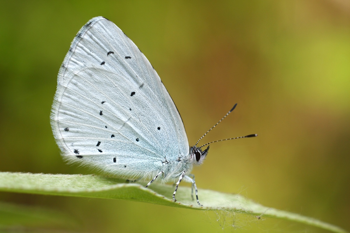 Luckily there is a fifty