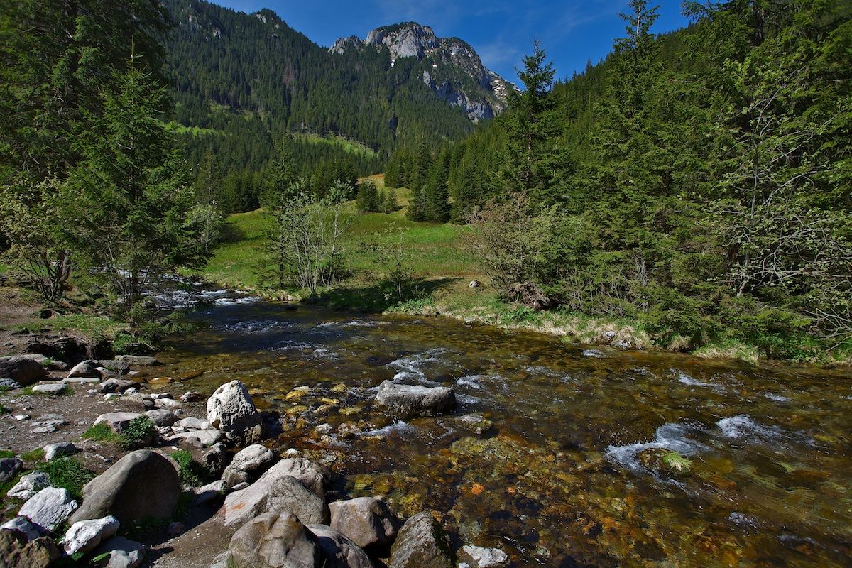 Tatry montagna