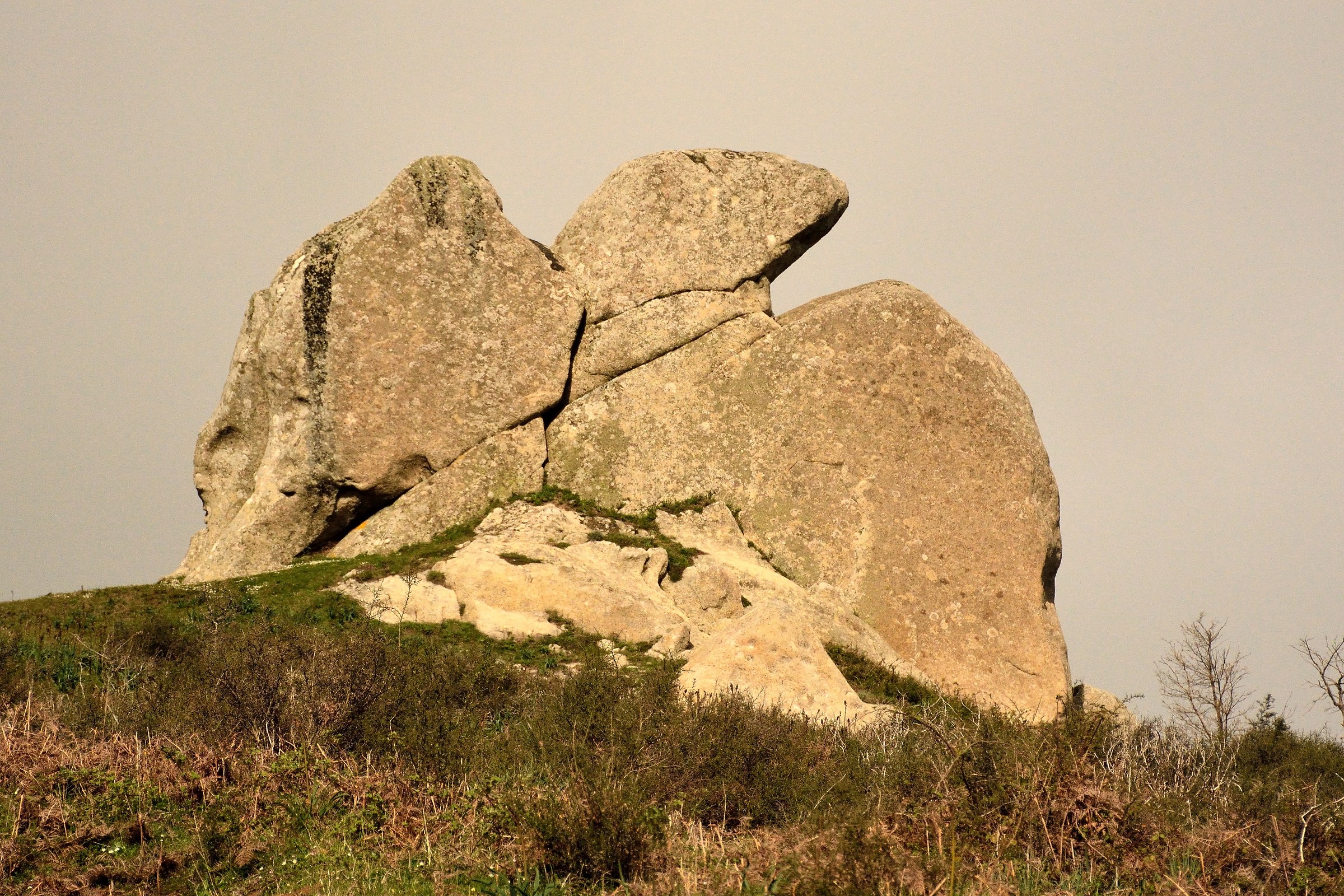 L'aquila parco megalitico dell'Argimusco (Me)