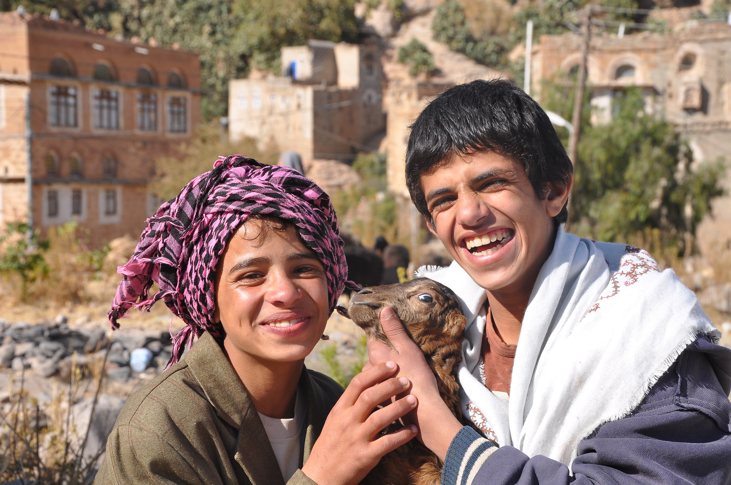Piccoli pastori in Yemen