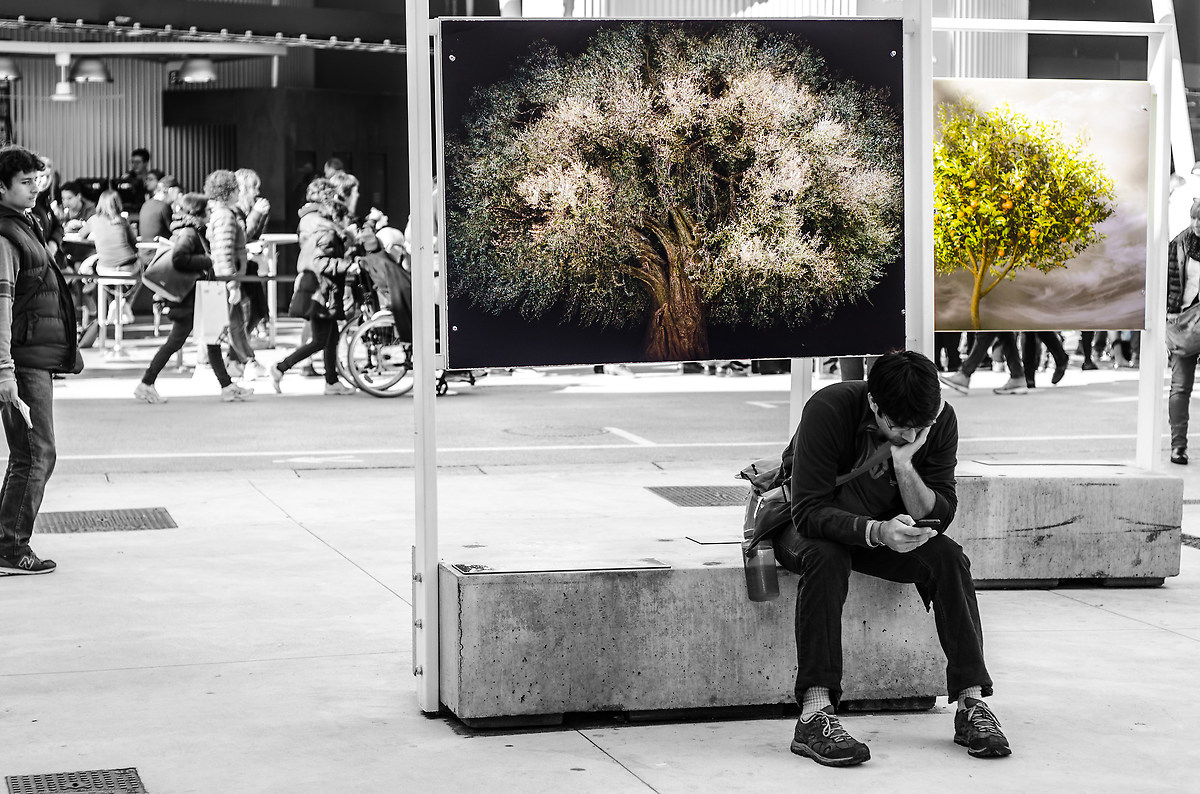 The Tree of Life | Expo 2015