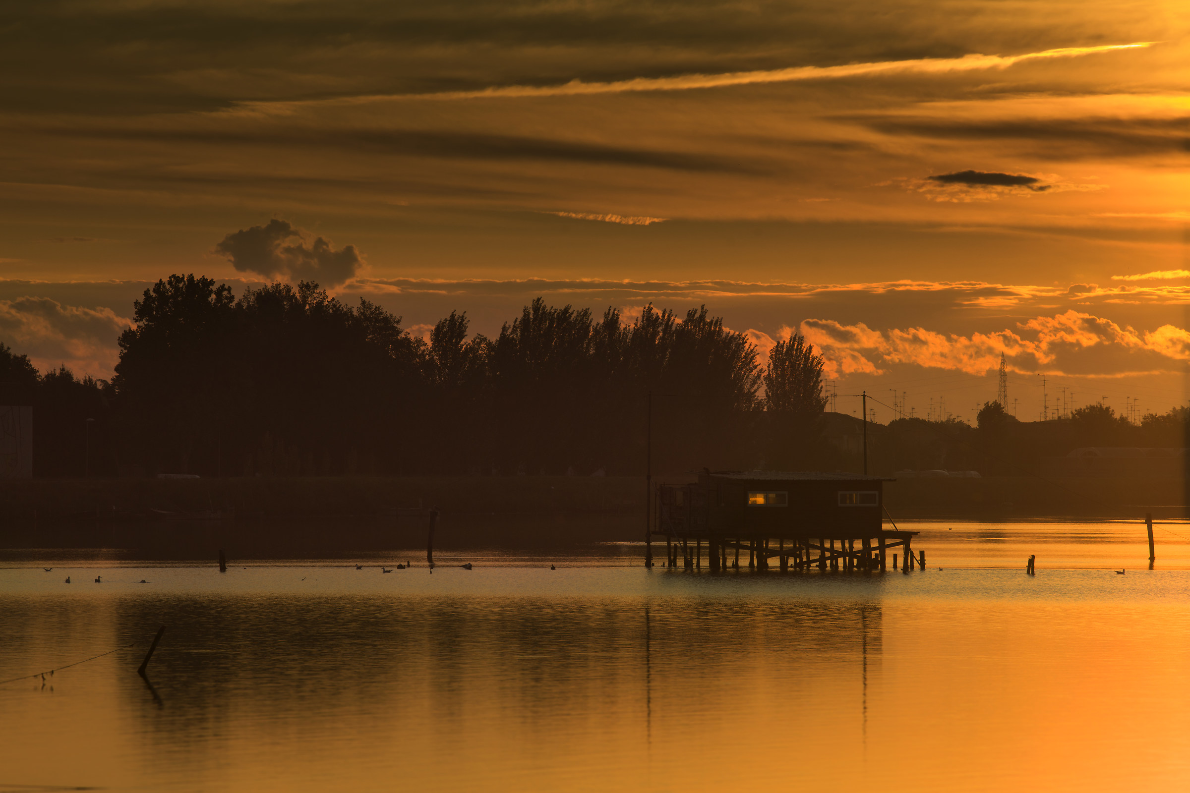 valli di Comacchio 1