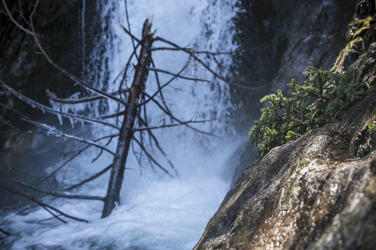 From Winter To Spring