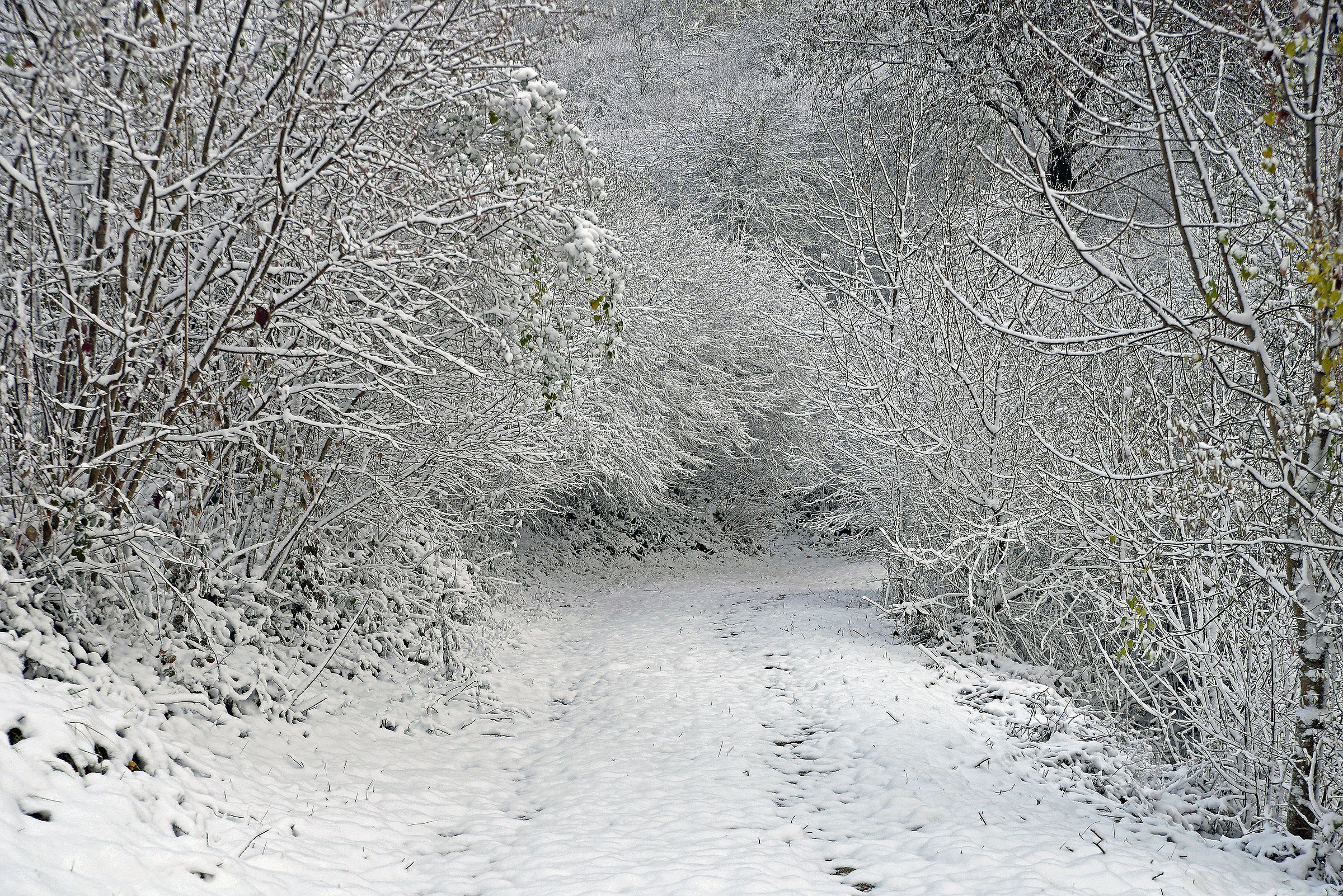 First snow on Grappa