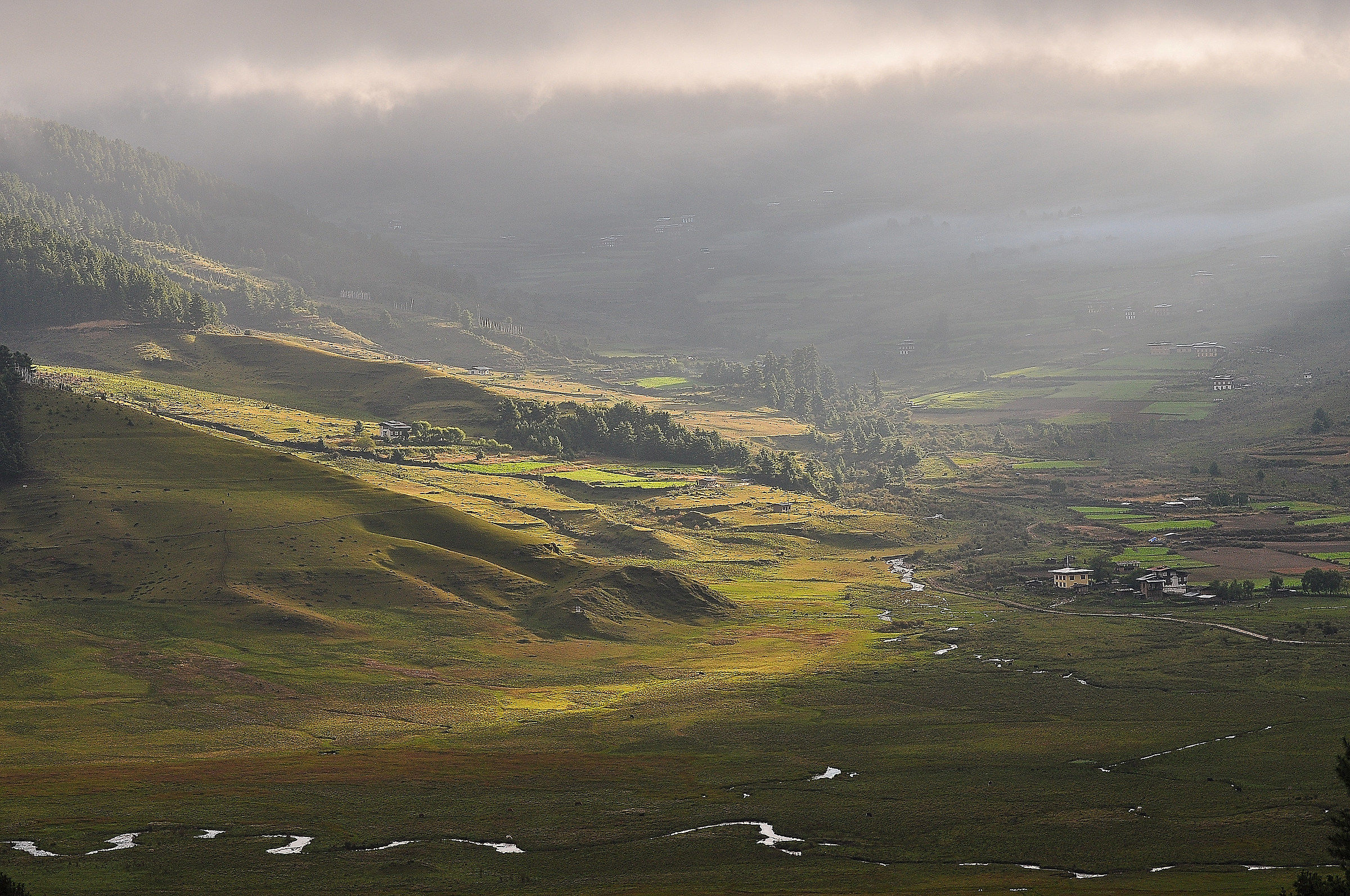 Valle di phobjikha (Bhutan)