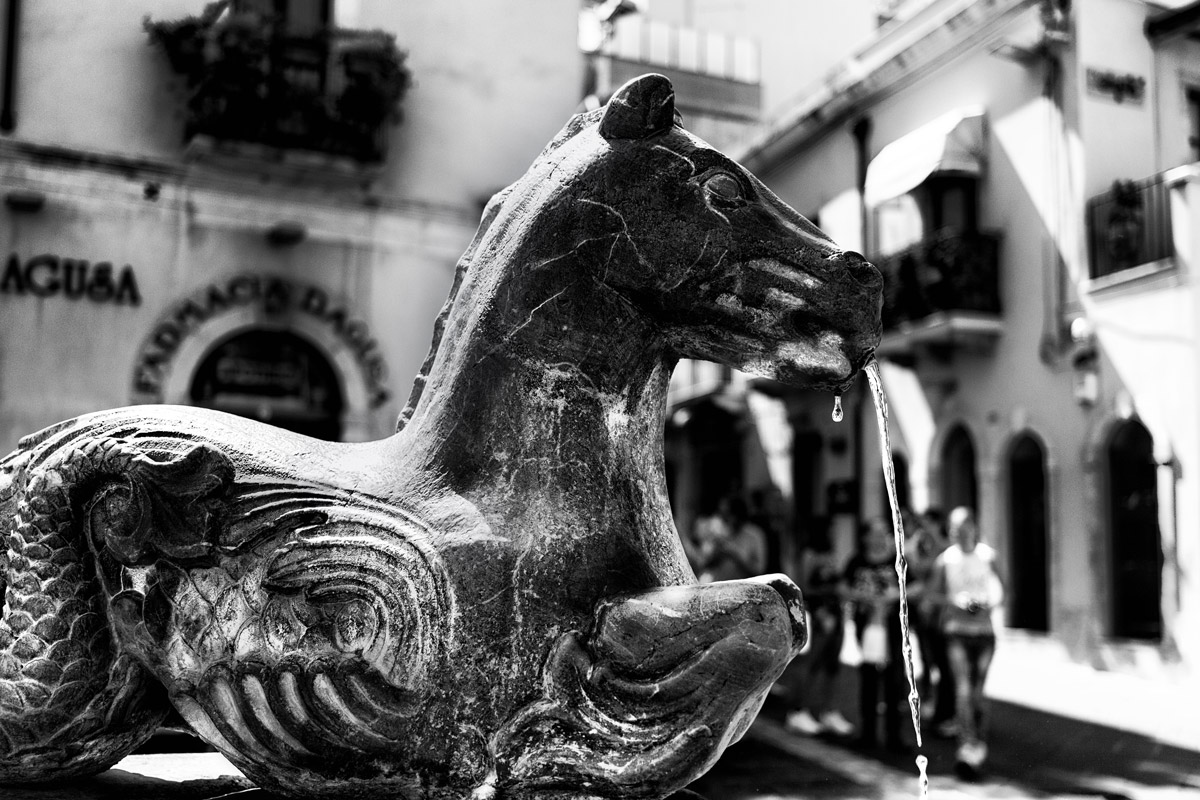 Il Cavallo di T....aormina.