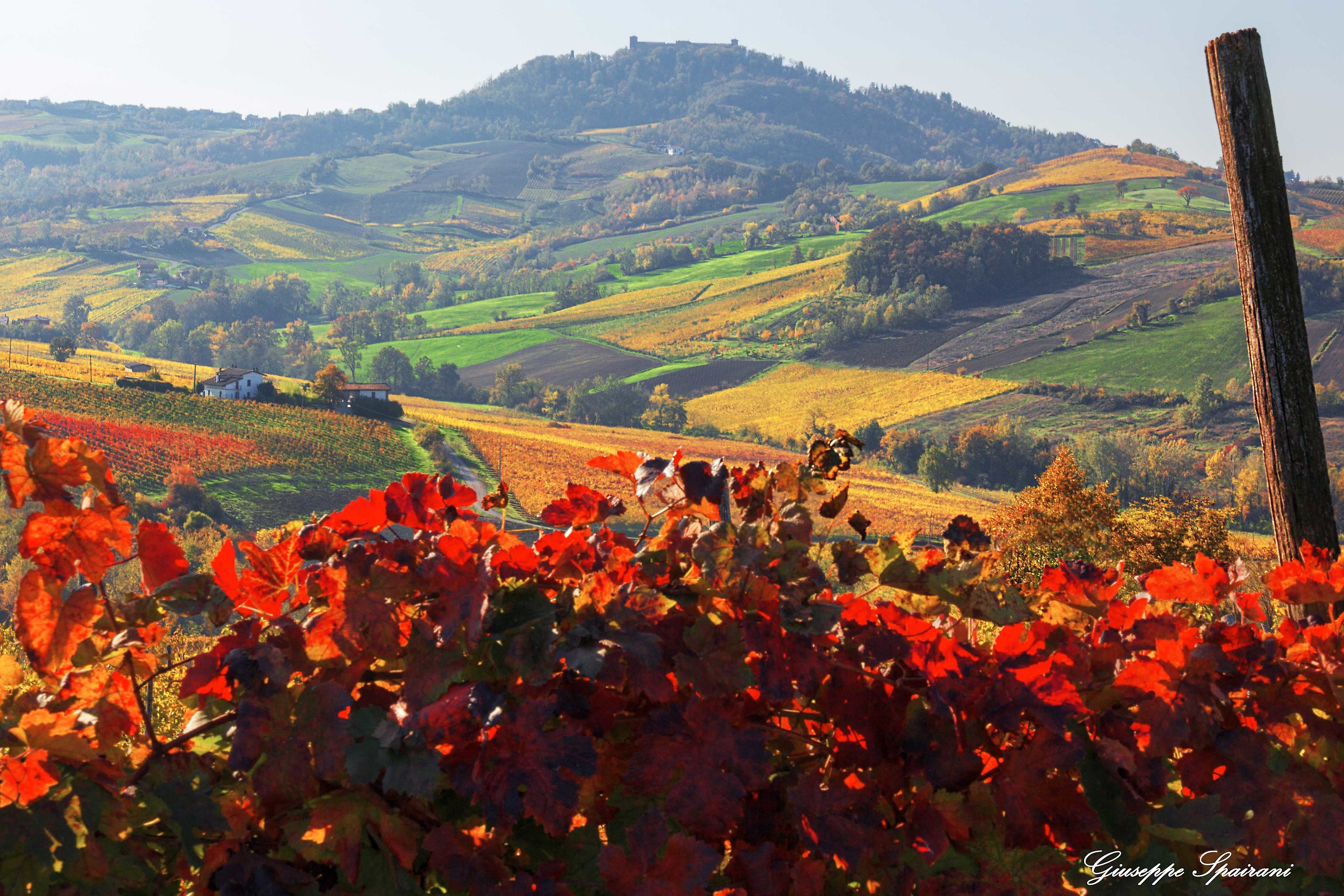 uno sguardo verso Montalto