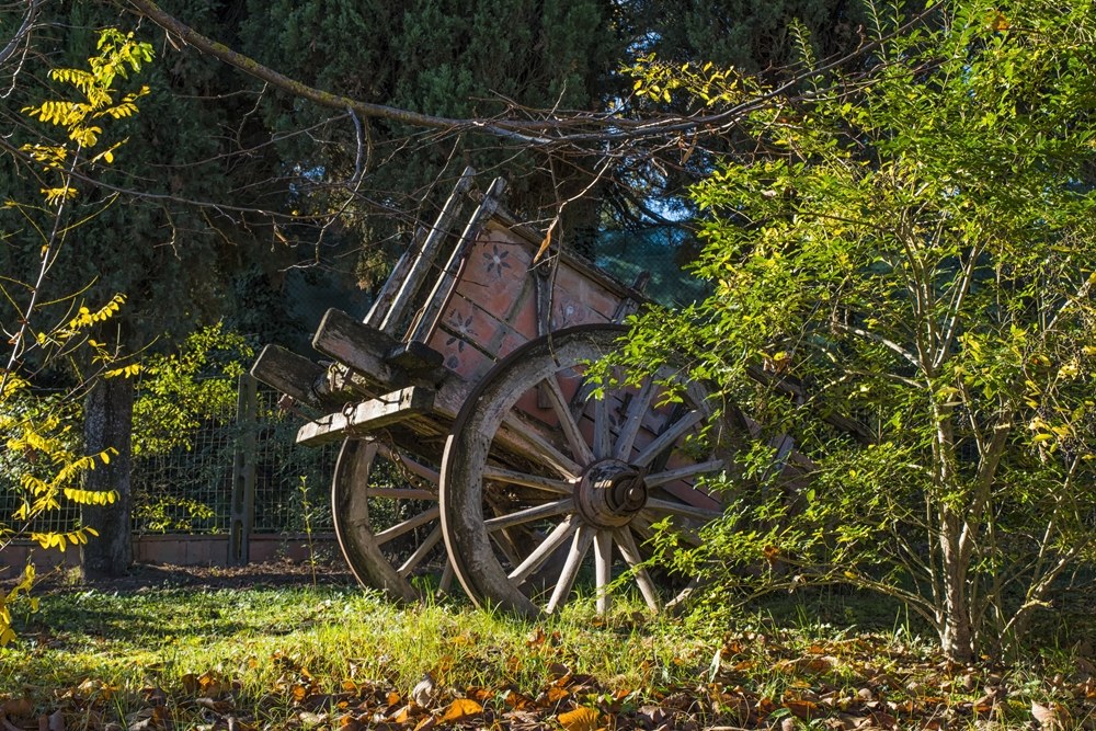 il carretto passava...