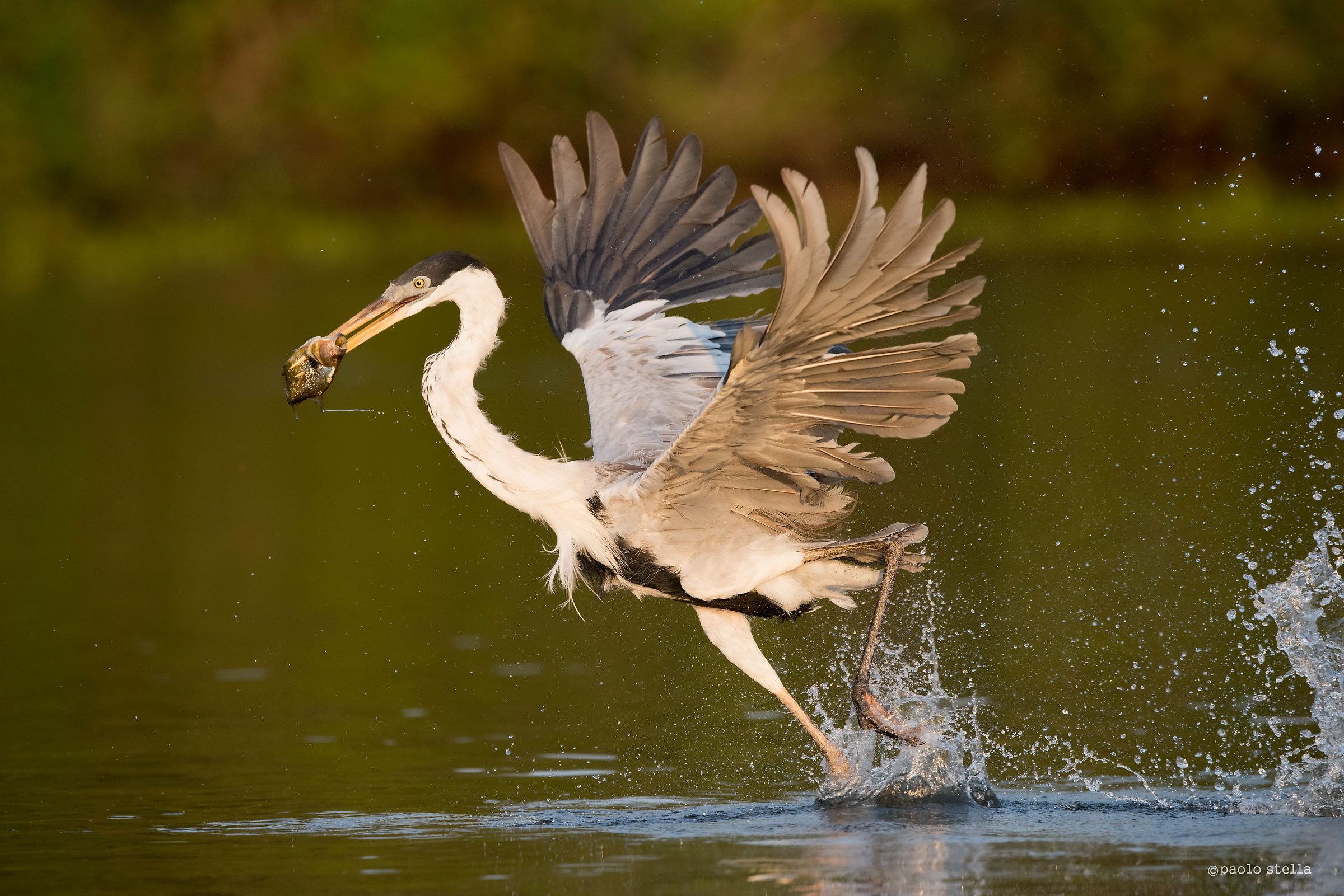 fishing on the river