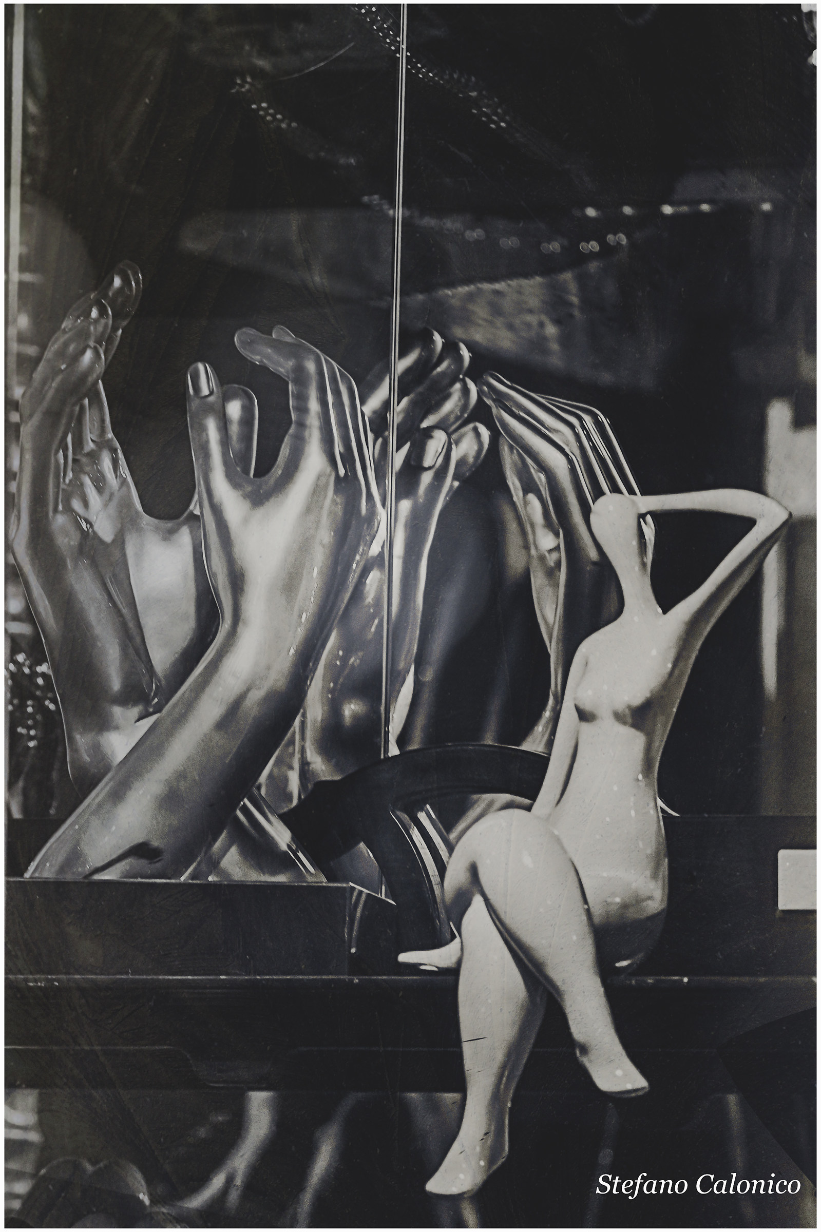 Between windows and showcases