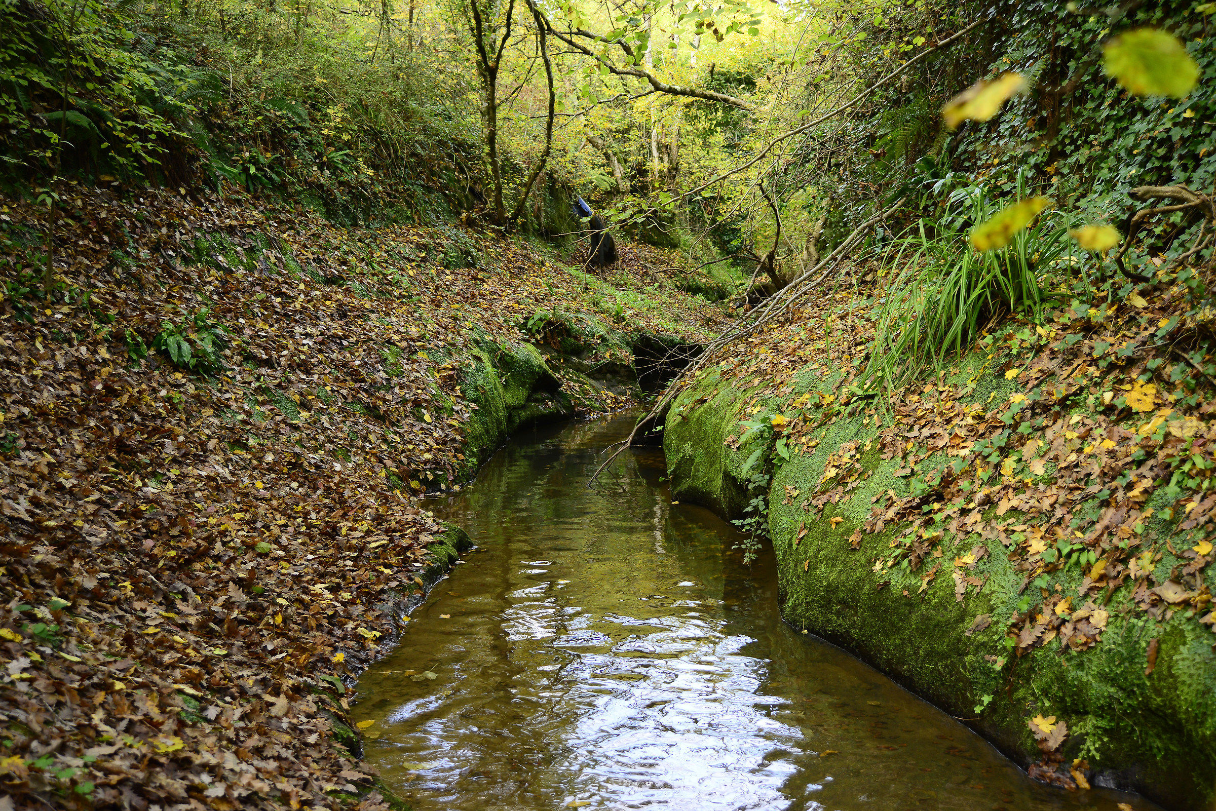 Solo il rumore dell'acqua