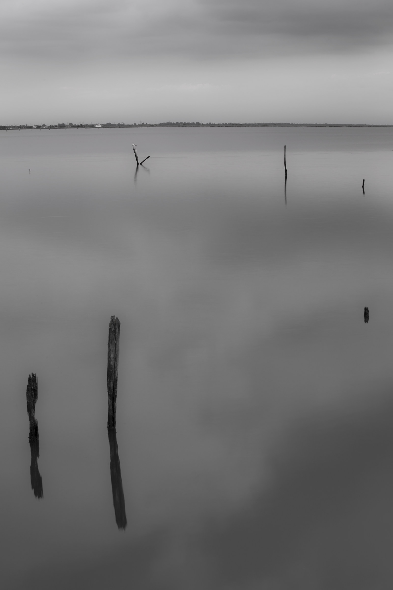 valli di Comacchio 2