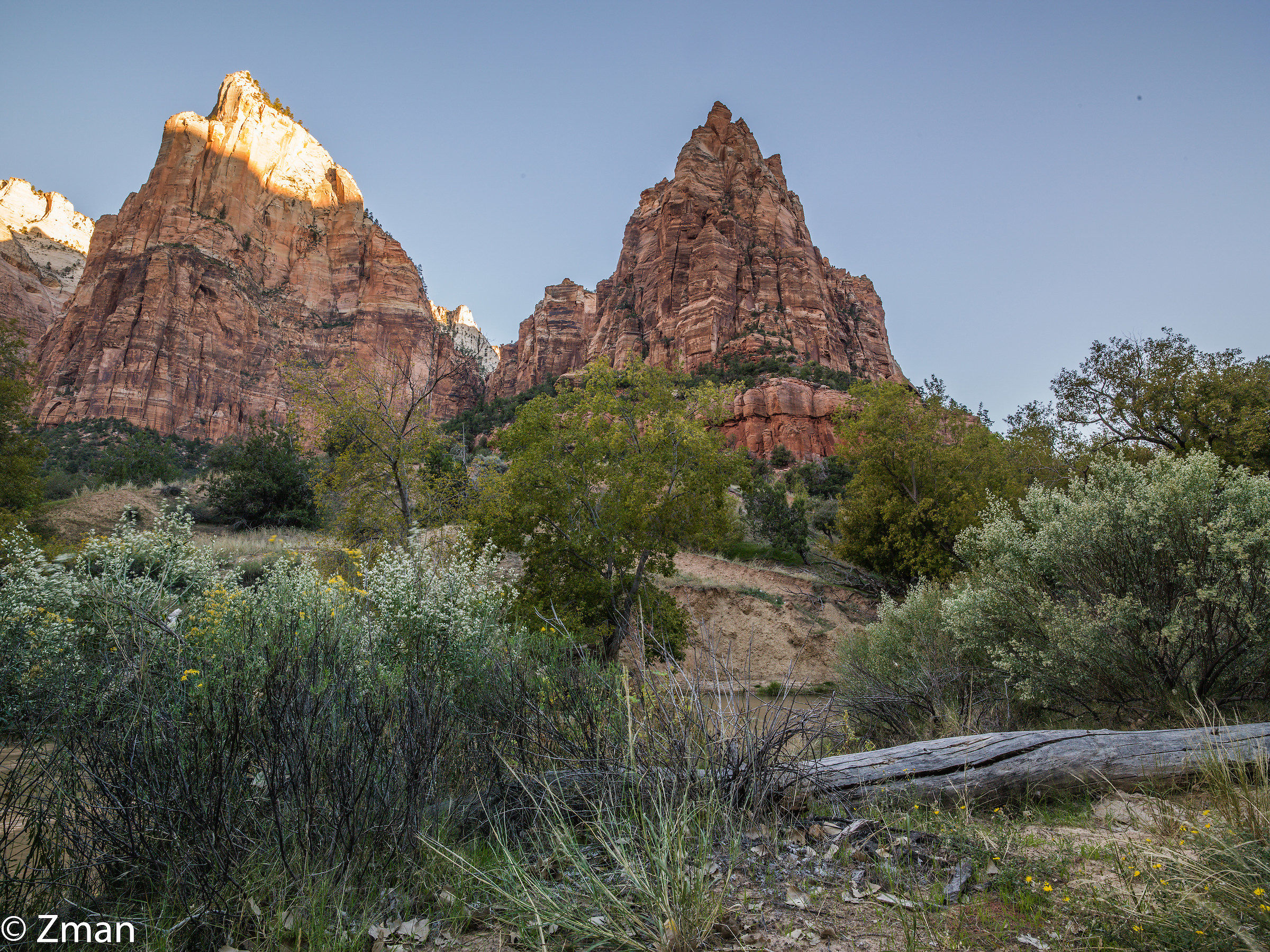 Zion National Park