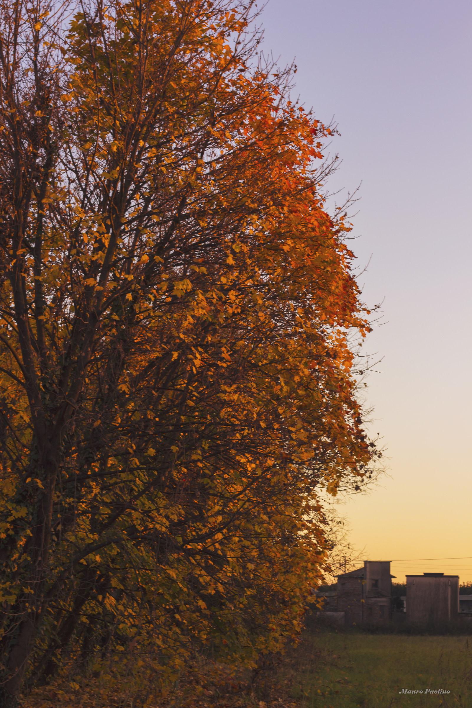 Lontana industrializzazione