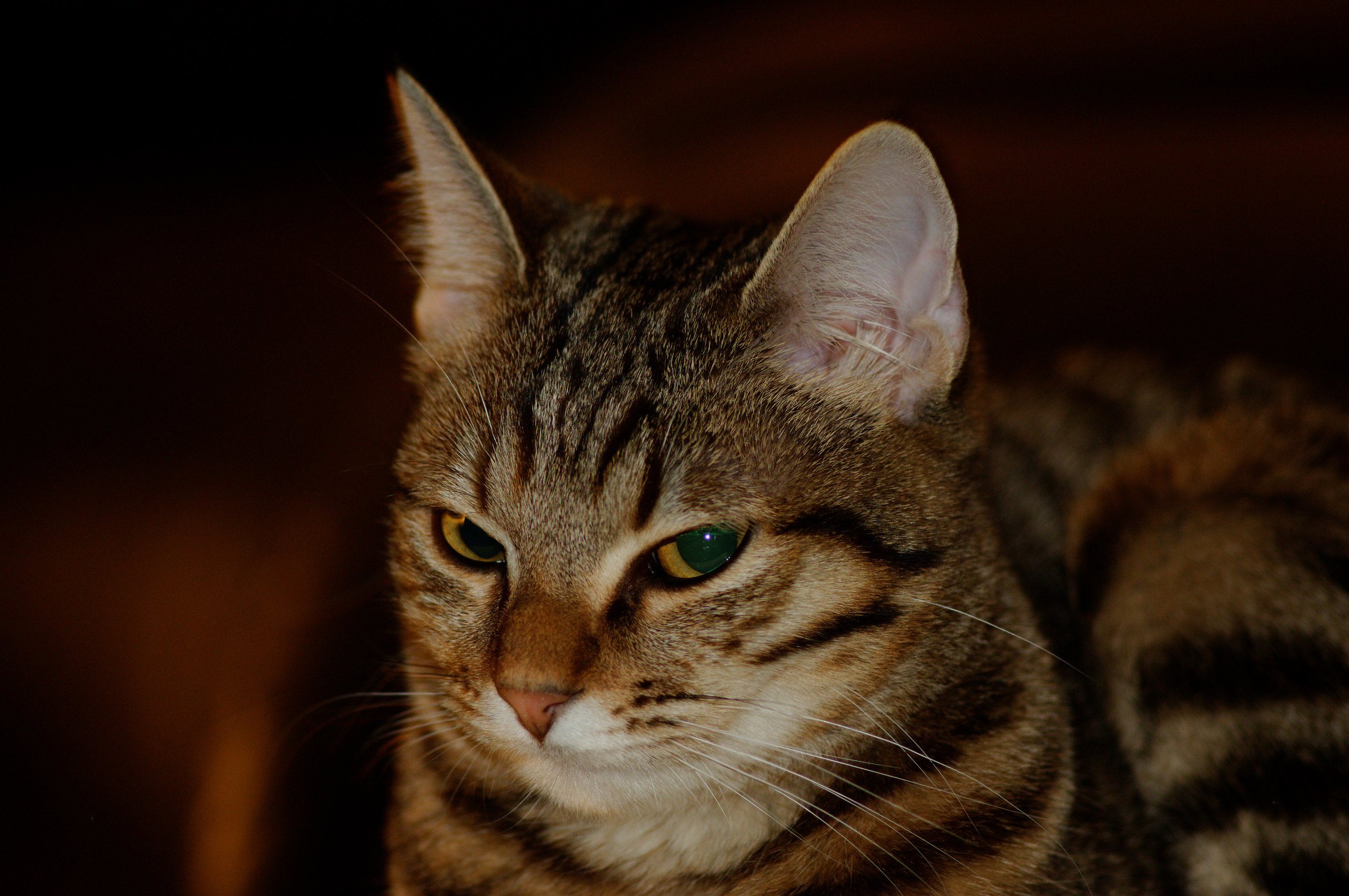 ... ho molto sonno... ma non mi sfugge nulla!!