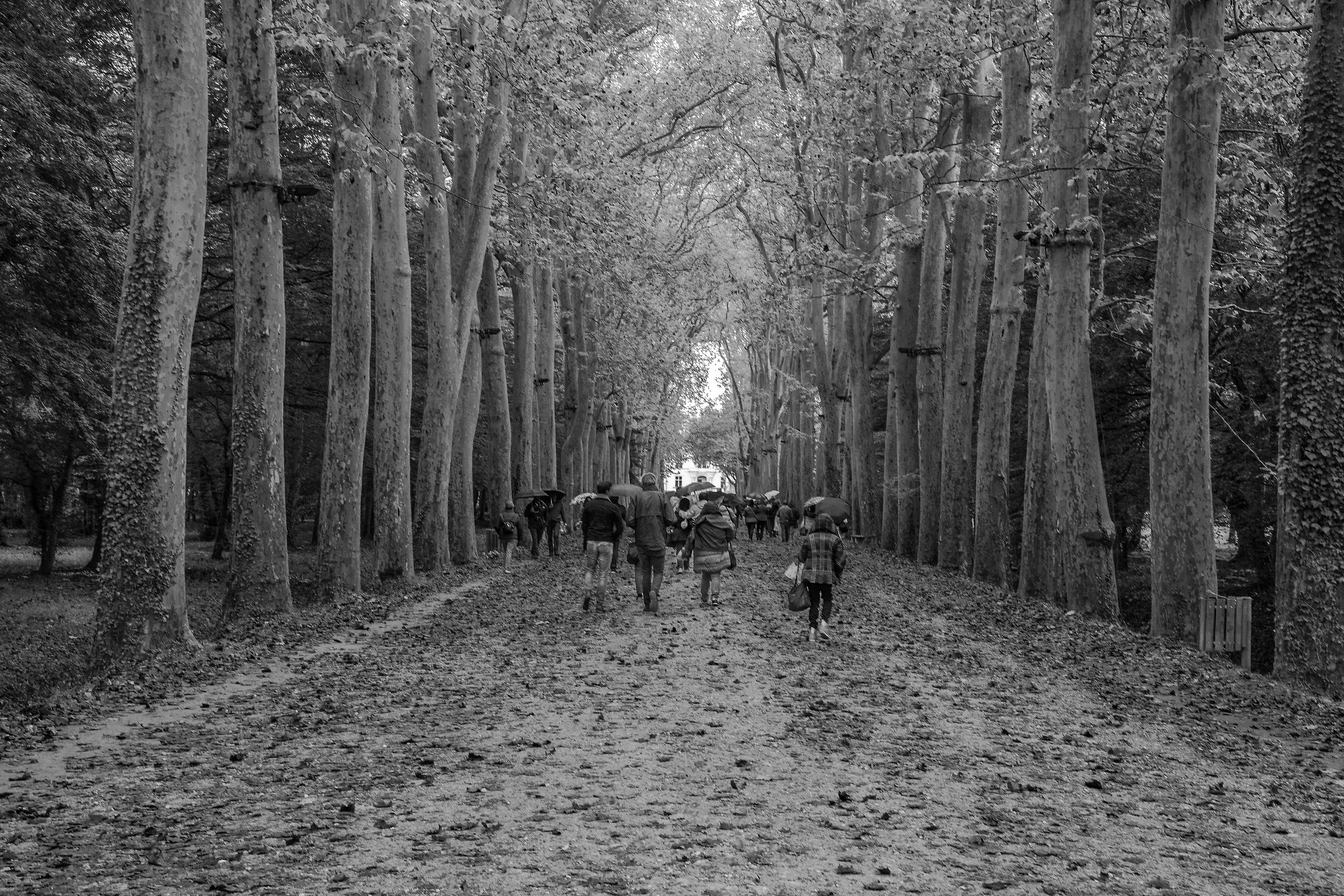 al riparo dall'autunno