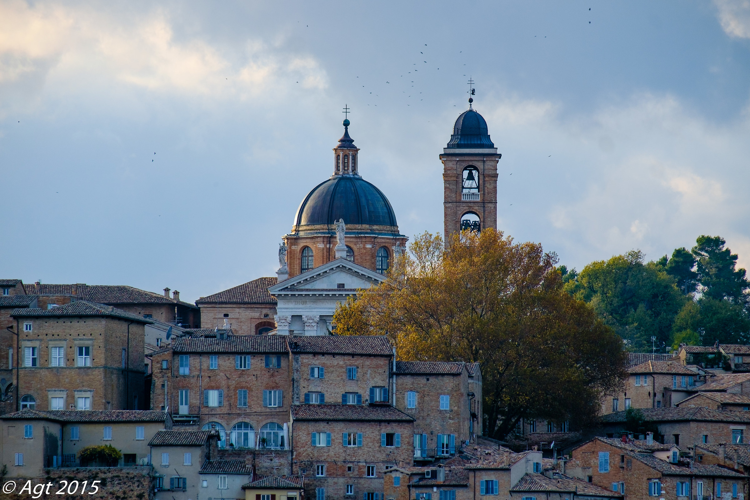 Urbino other view