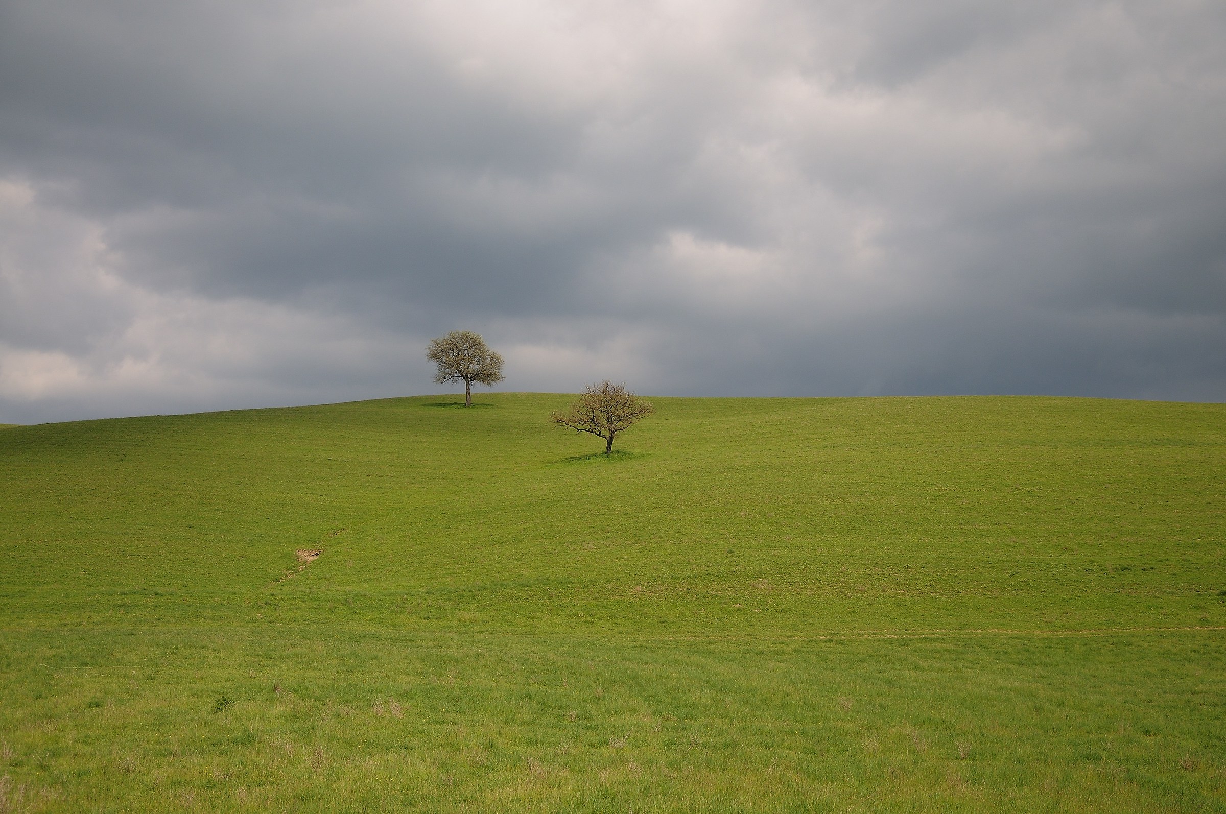 Paesaggio della Vall'Orcia