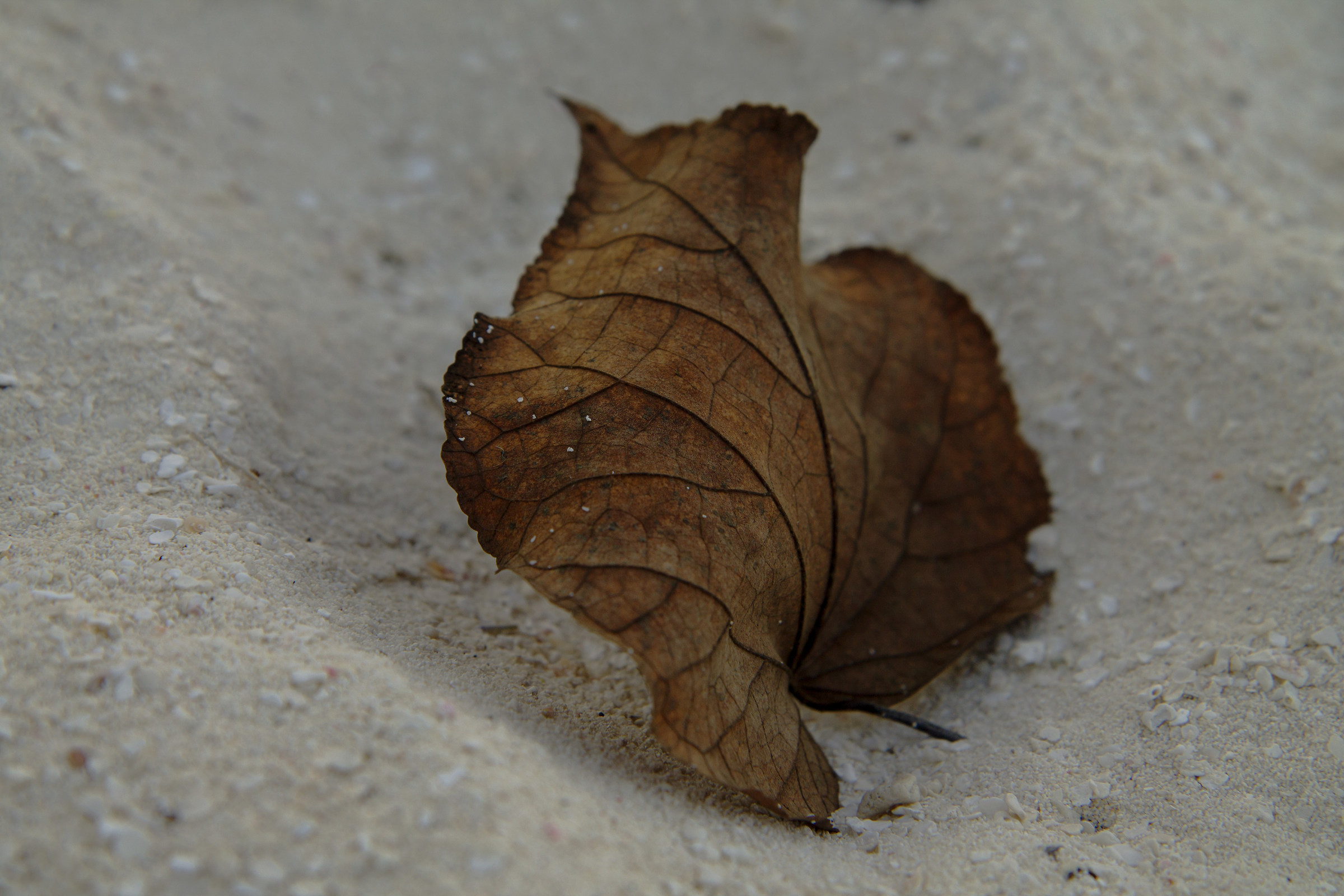 Autunno in spiaggia?
