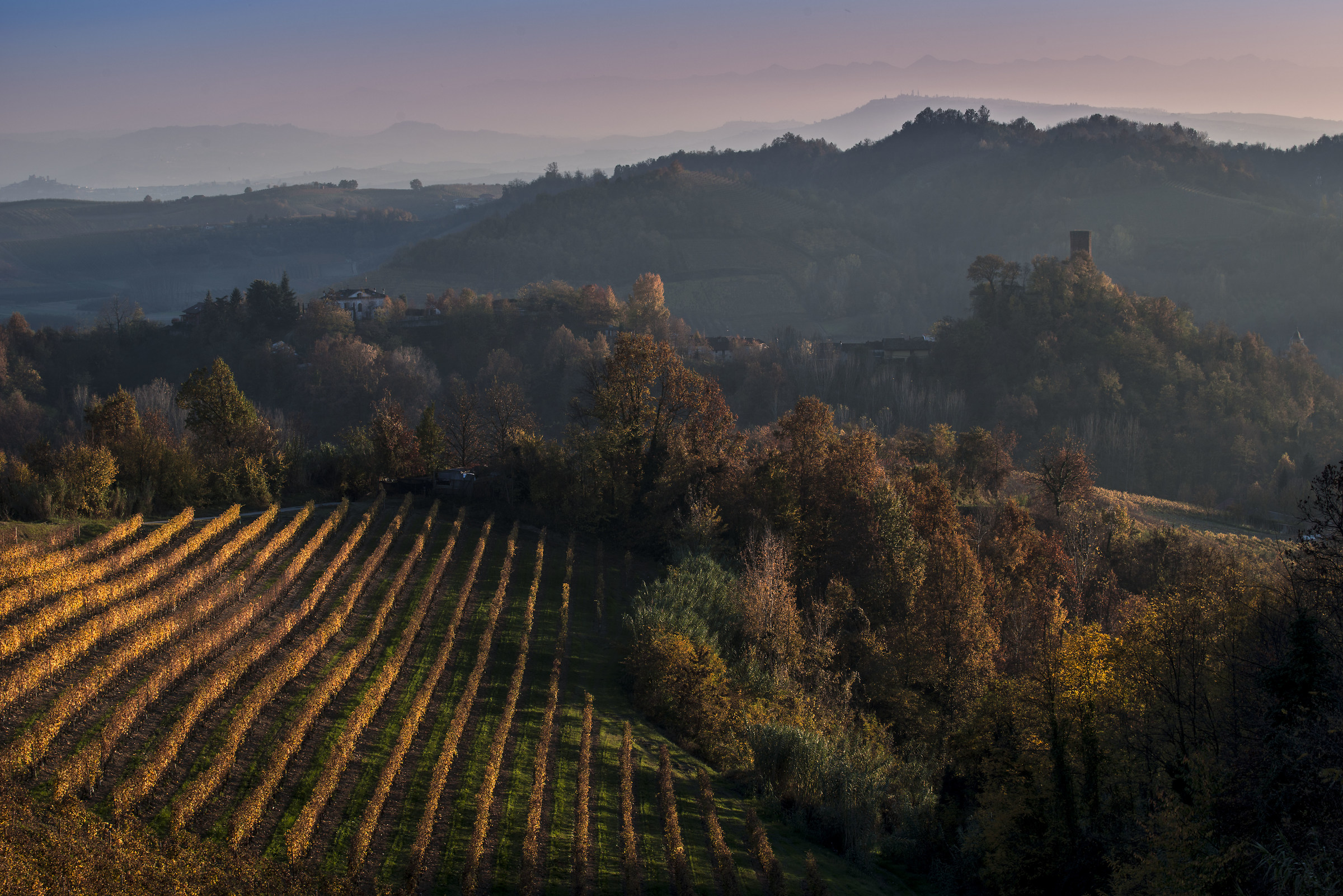 Omaggio al mio paese!