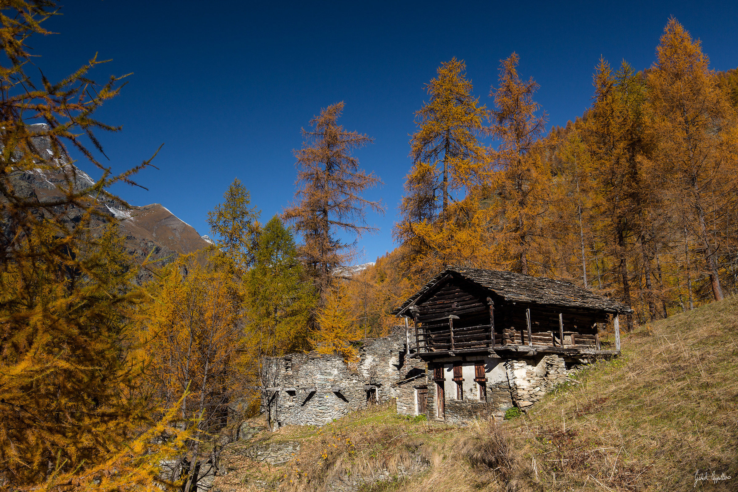 Ieri come oggi, tra i larici