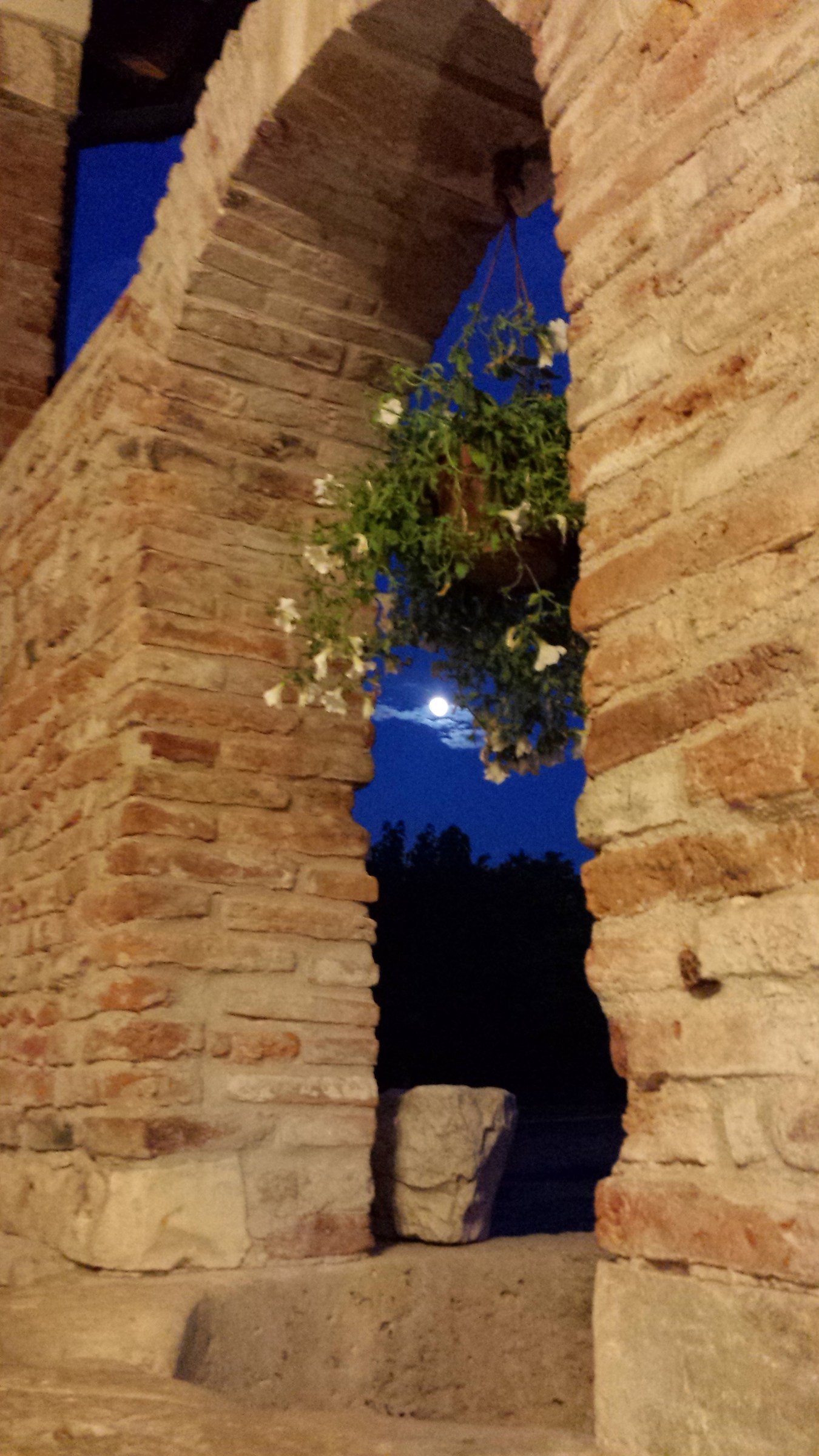 The moon in the well ...