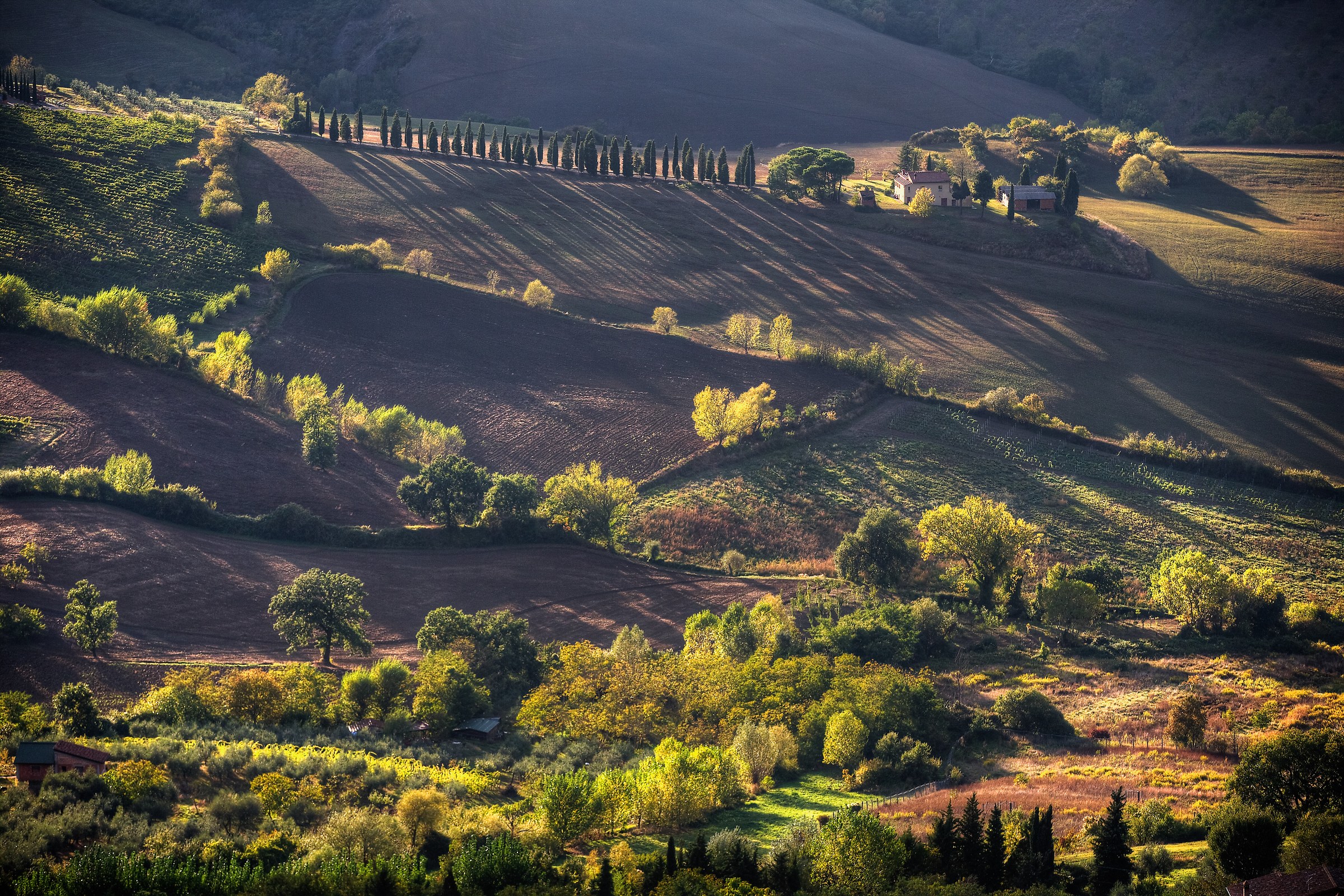 the warm glow of sunset