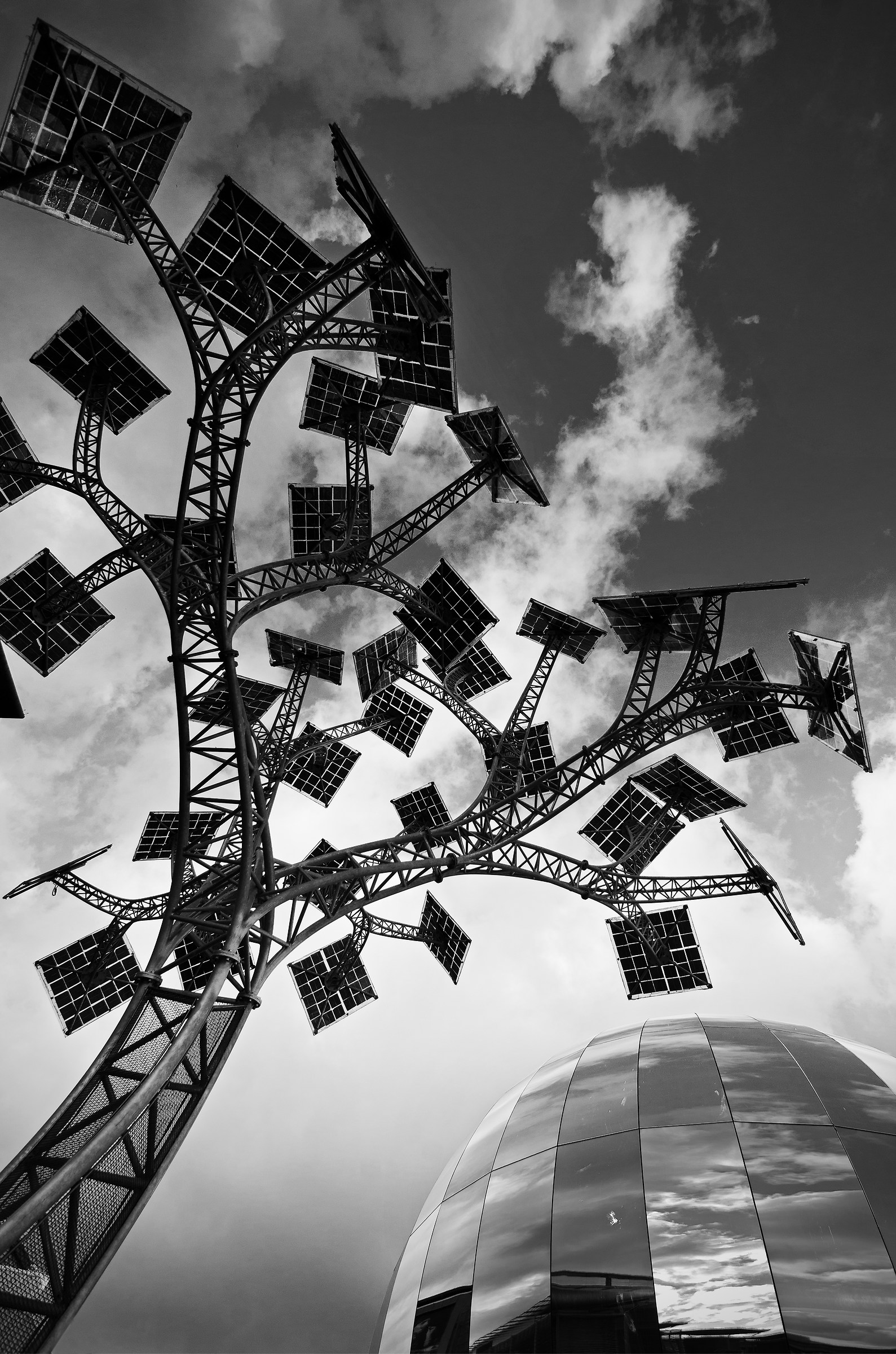 The 'Tree of Life'...