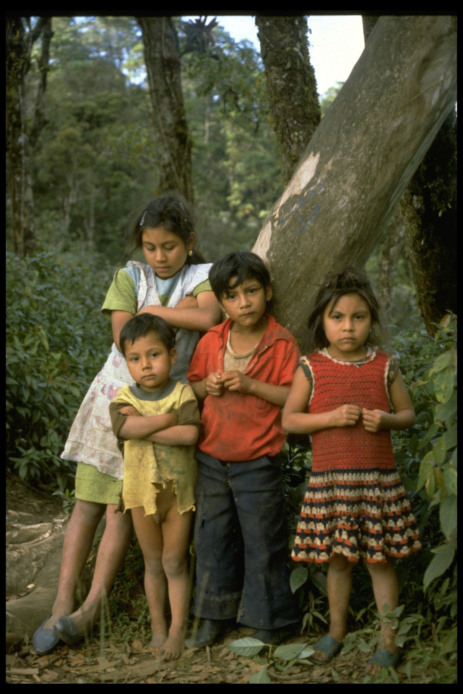 Mexico 1981 Chiapas