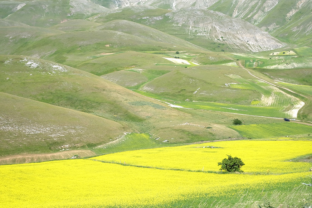 castelluccio 01