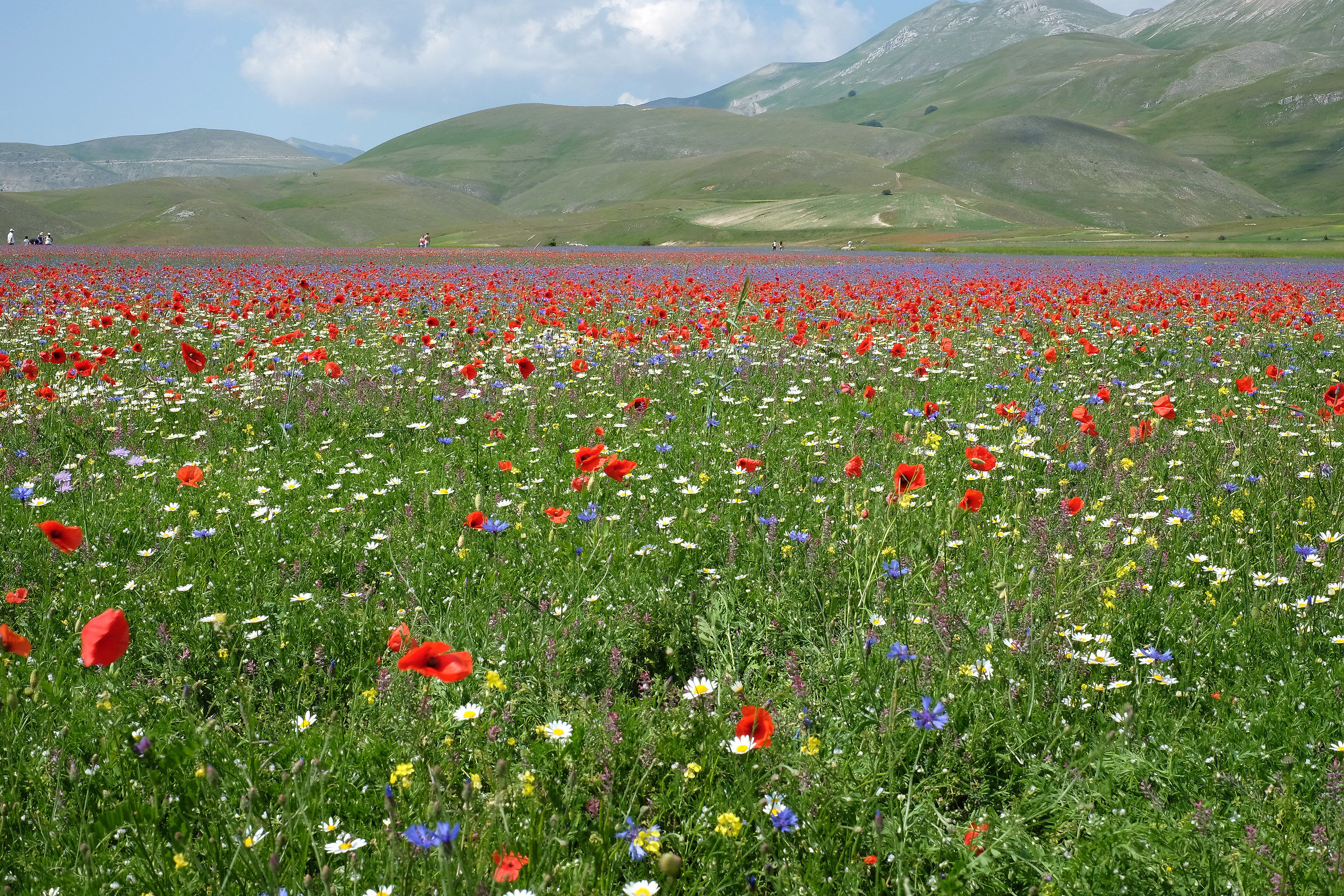 castelluccio 02
