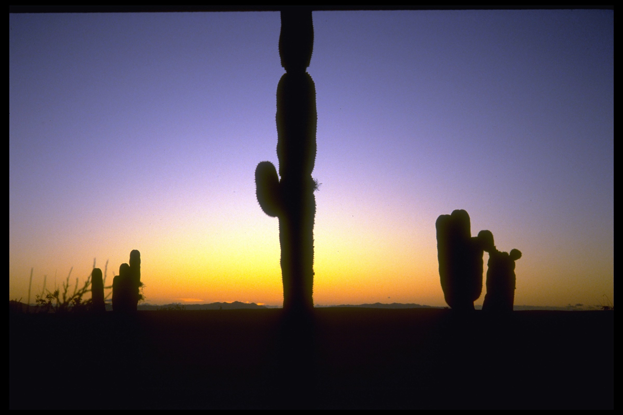 Tramonto in Bassa California