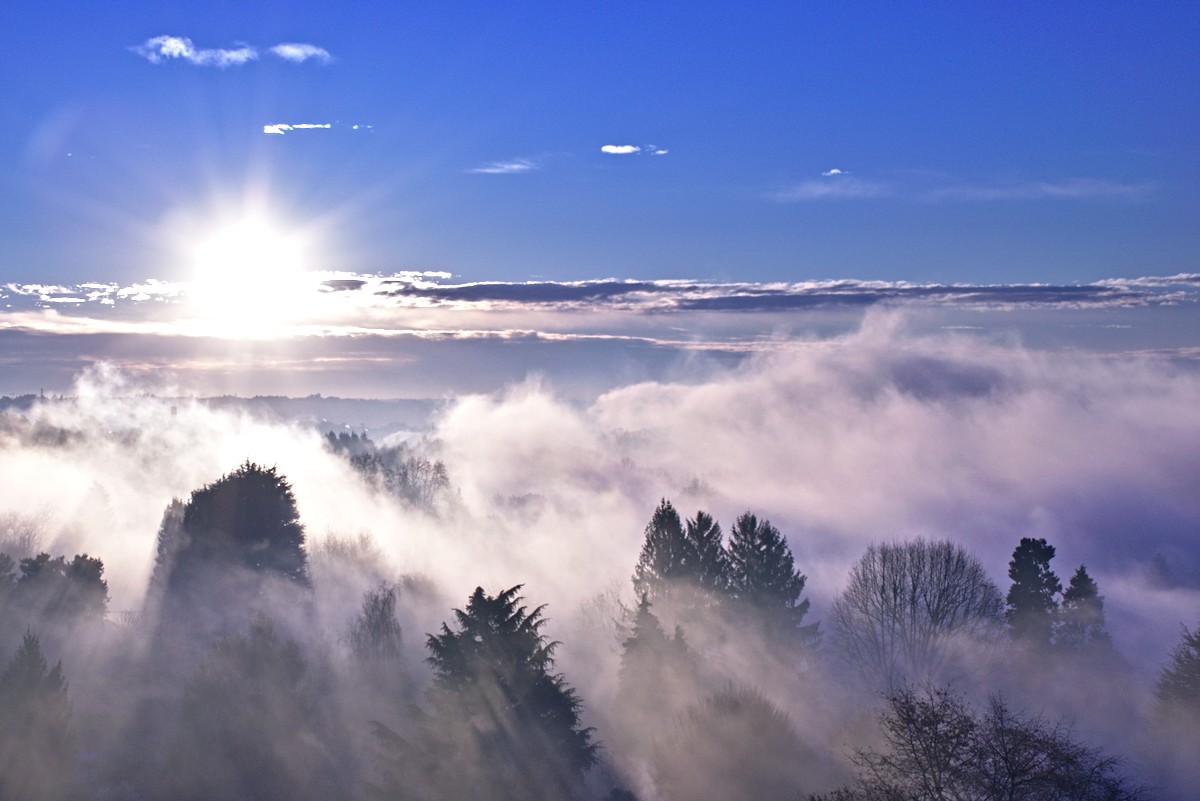 una fredda mattina di autunno